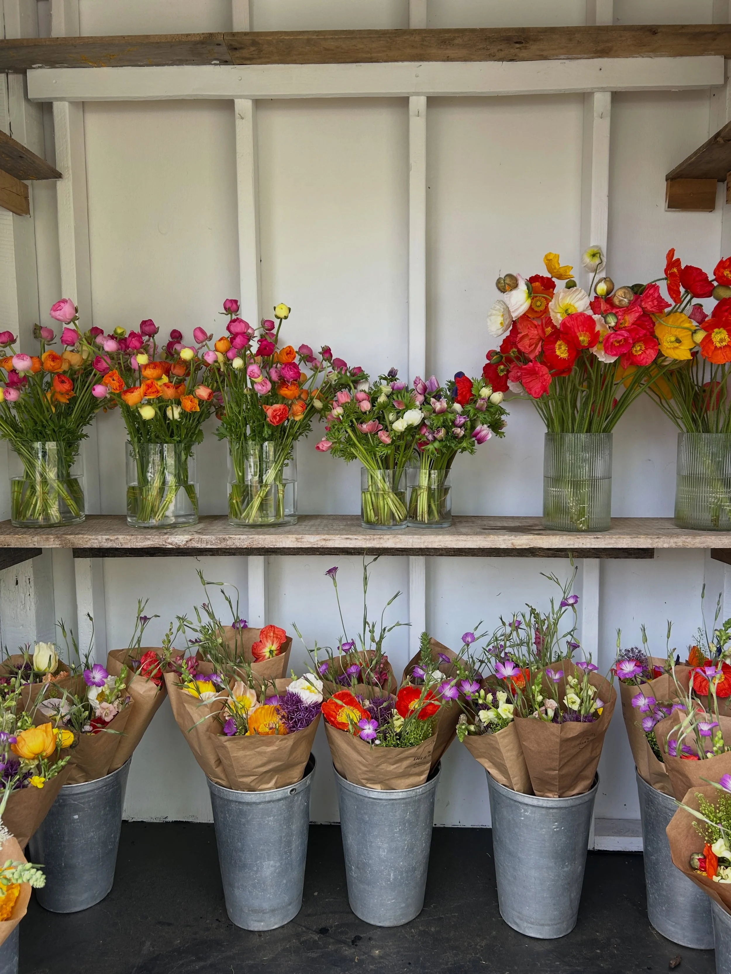 Brighten up your weekend ✿✿ our flower stand is open!
&bull;
&bull;
📍 59 E Main St. in Mendham ( between Kings + The Black Horse ) Don&rsquo;t be afraid to pull in to park behind our little red house. You&rsquo;ll find the flower stand on the front 