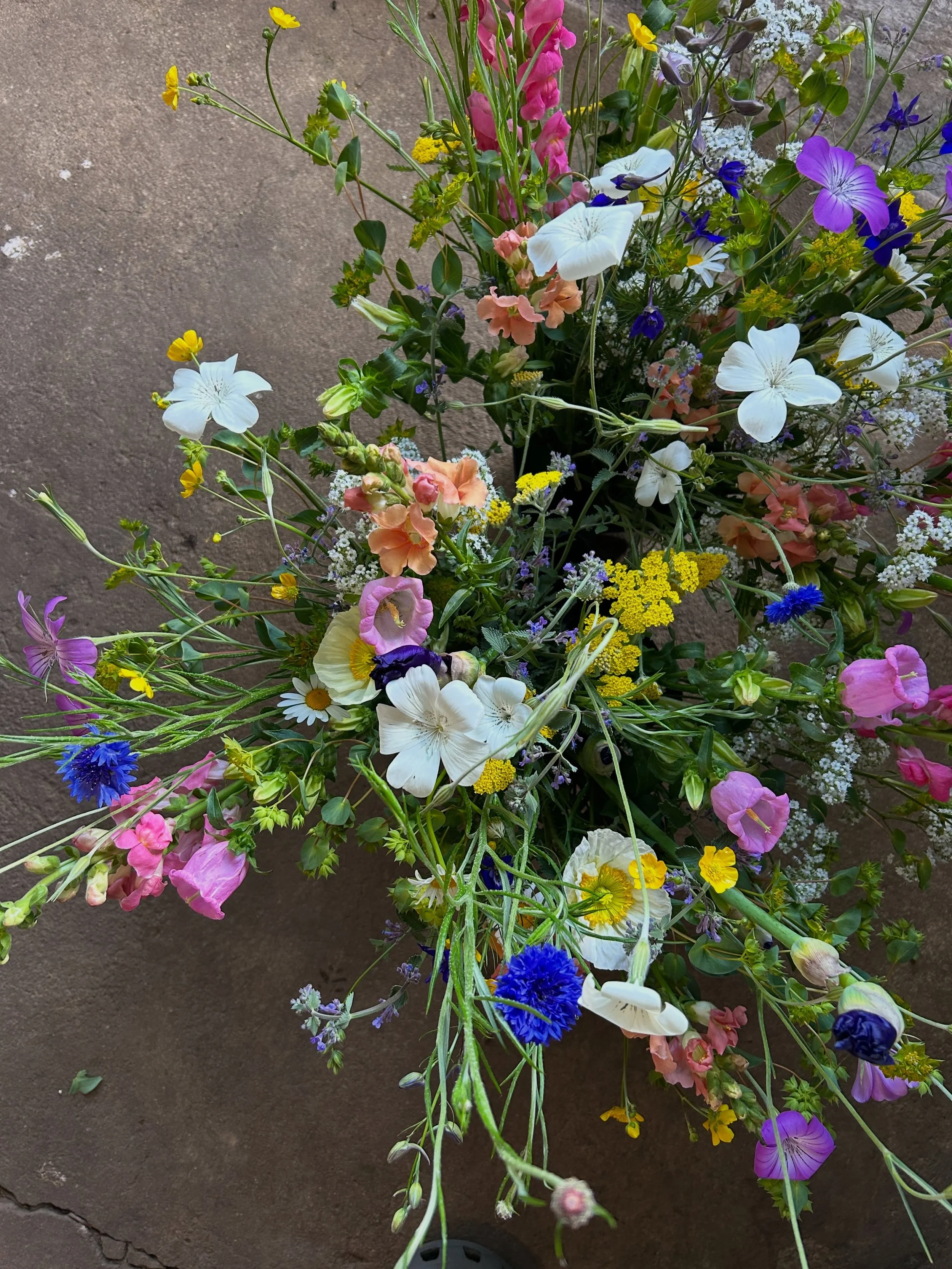 Friday flower stand ~ stocked with mixed bouquets ~ will be open at 8 a.m ✿
&bull;
&bull;

📍 59 E Main St. in Mendham ( between Kings + The Black Horse ) Don&rsquo;t be afraid to pull in to park behind our little red house. You&rsquo;ll find the flo