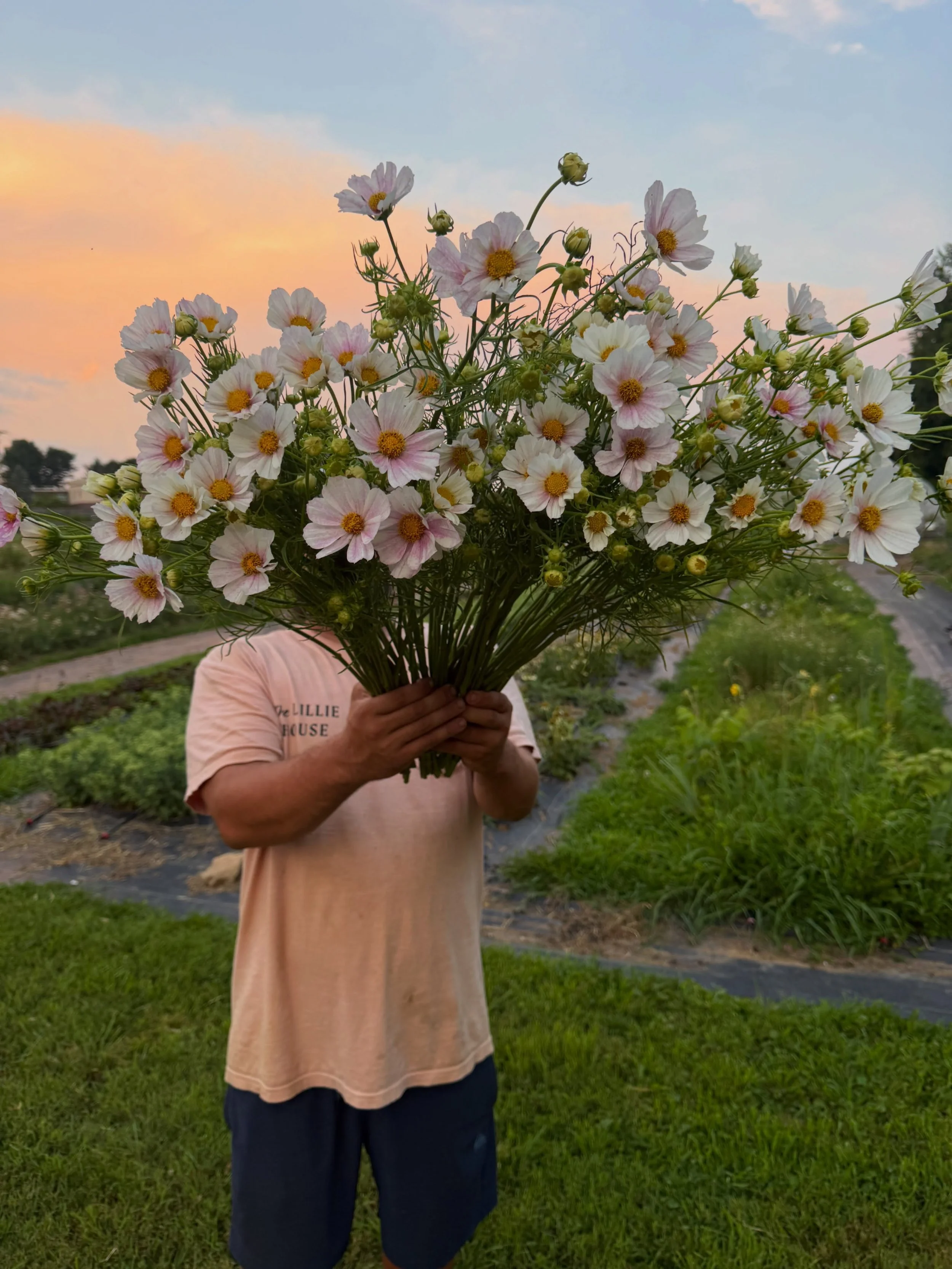 We wait ALL winter long for these rich summer evening harvests &amp; somehow, here we are halfway through the season.

The longest days somehow go the fastest. It&rsquo;s been a challenge weather-wise, but we&rsquo;re here for all of it.✿🤍