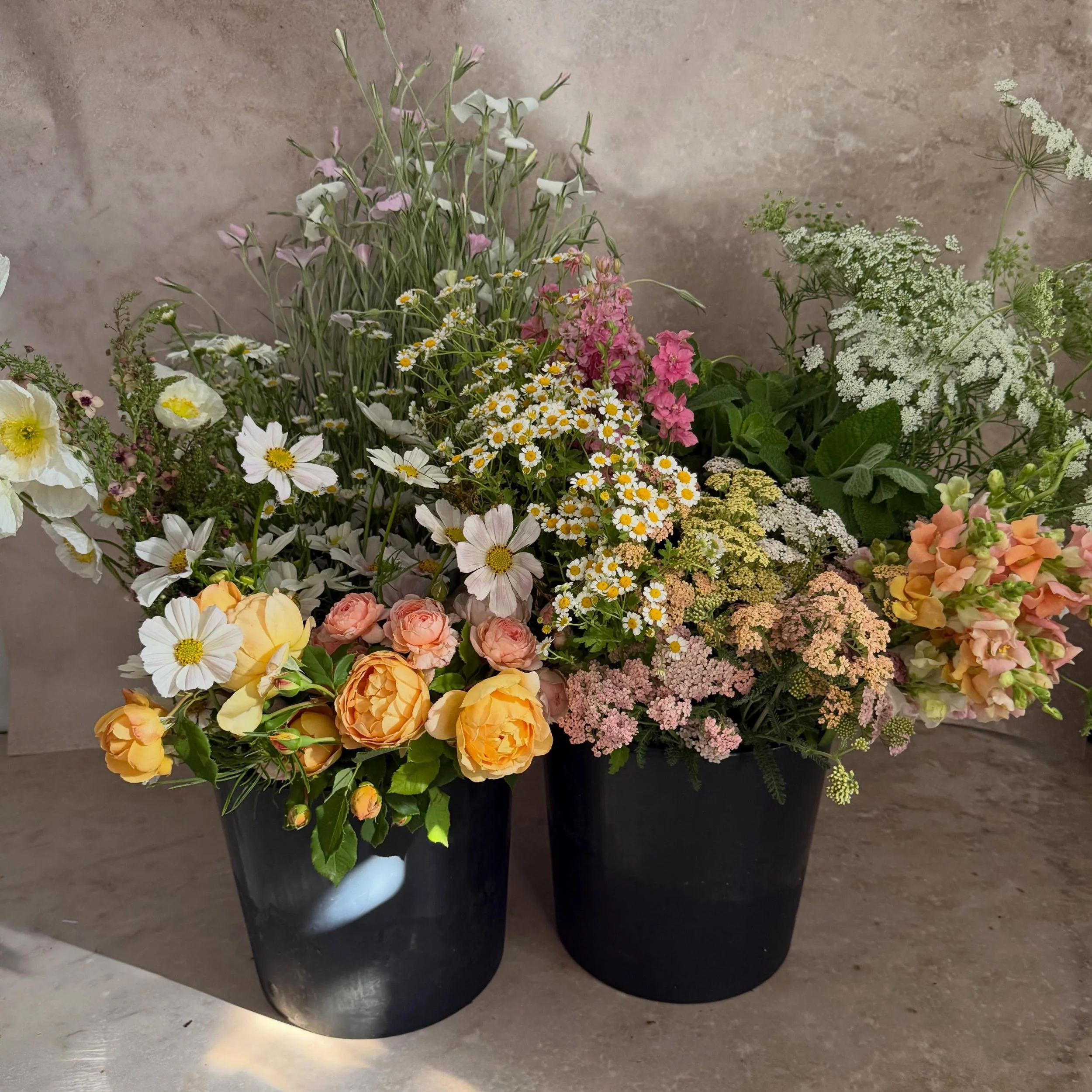 Hosting a party? Planning a shower? Just love arranging flowers?

Our bulk flower buckets are available to order online and are perfect for DIY arrangements, celebrations, and special events. Reserve your summer and fall flowers anytime through our w