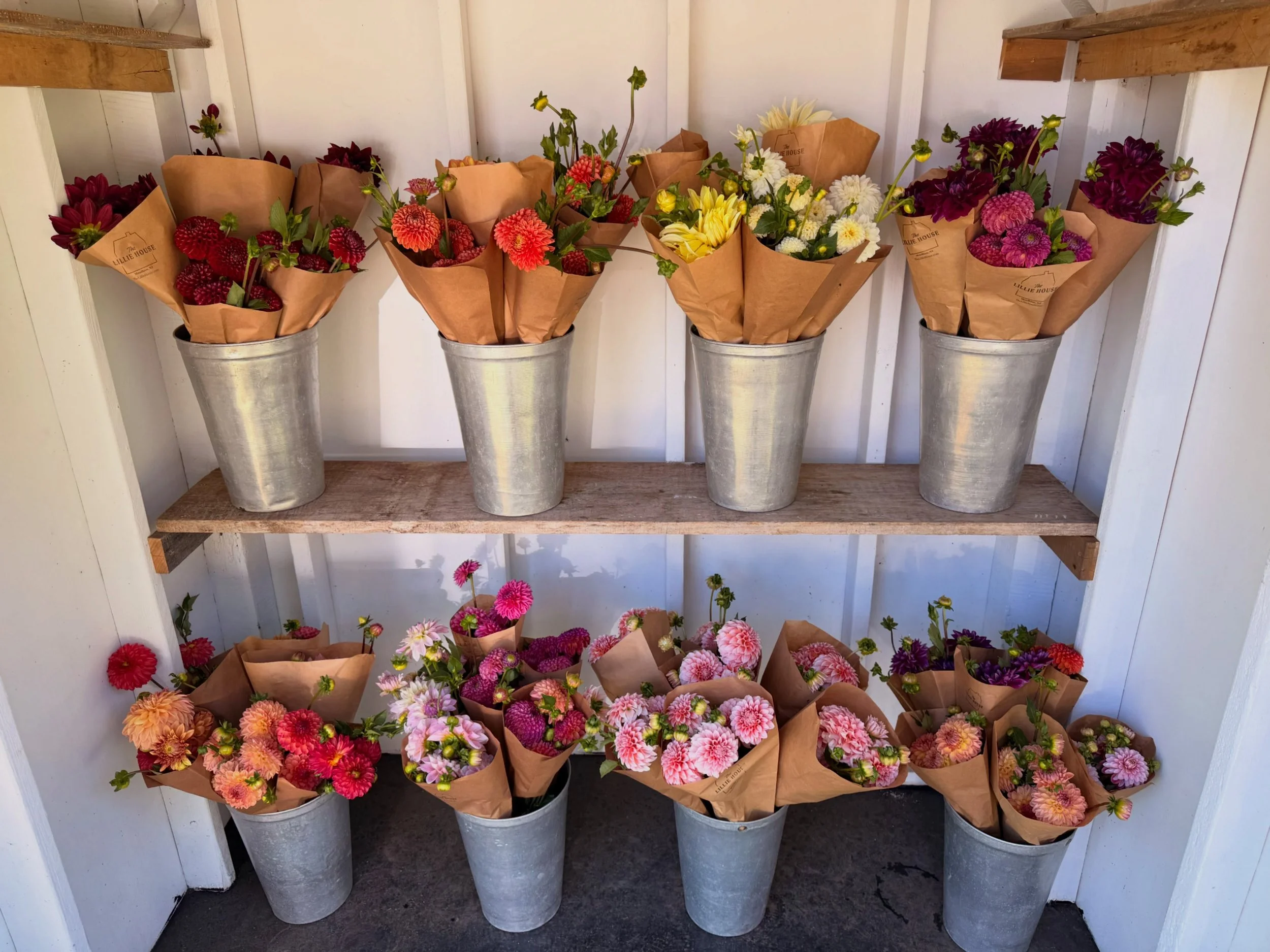 Flower stand is full of dahlias and we still have plenty more to cut, so come on by and grab yourself a bunch or&hellip;three! 🌈🌈🌈
