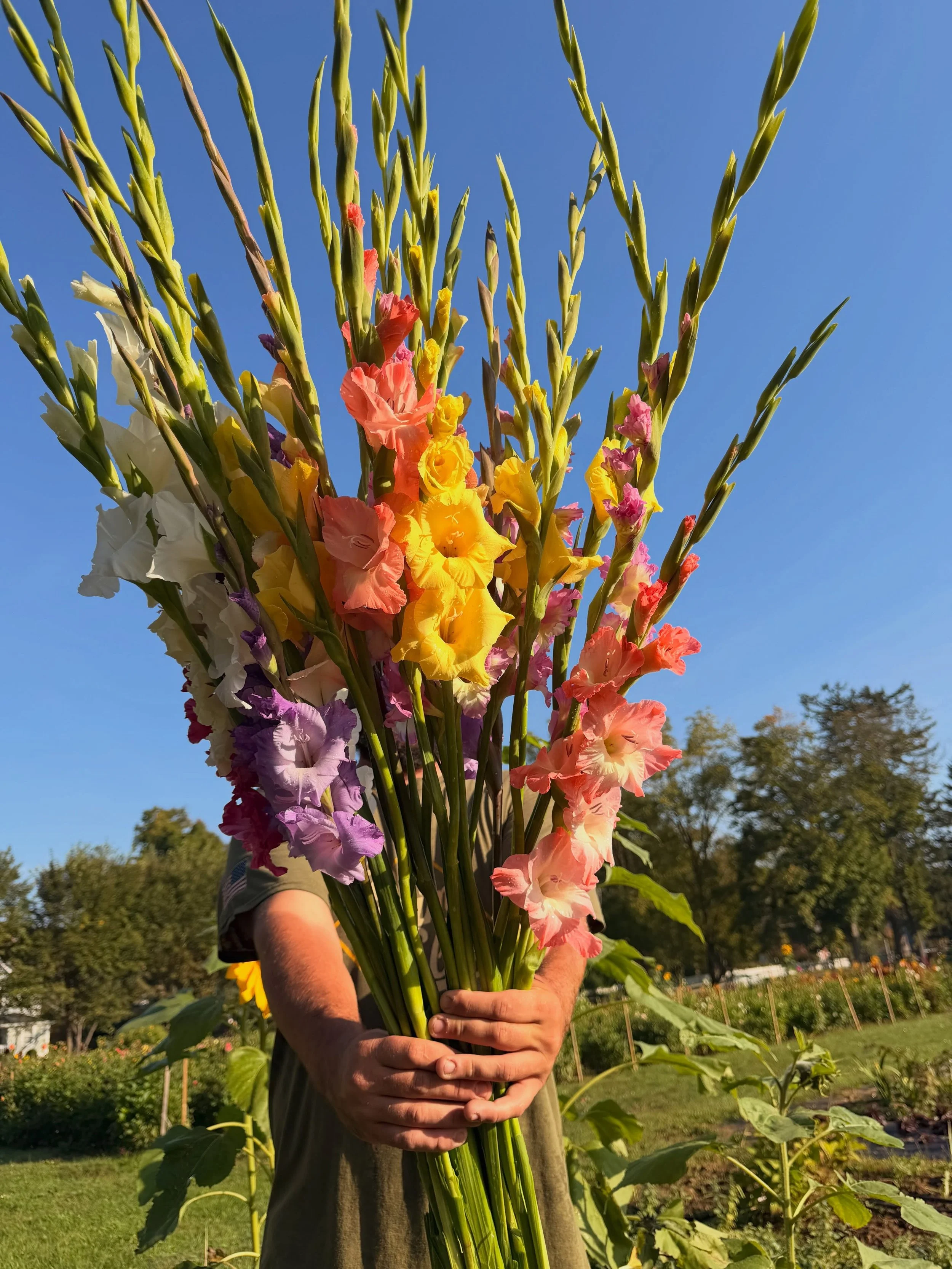 It is a beautiful day for some flowers! Our stand is stocked and ready for you with bouquets, bunches and our Lillie House T-shirts! ✿ ✿

📍 59 E Main St. in Mendham

Don&rsquo;t be afraid to pull into the driveway + park behind our little red house.
