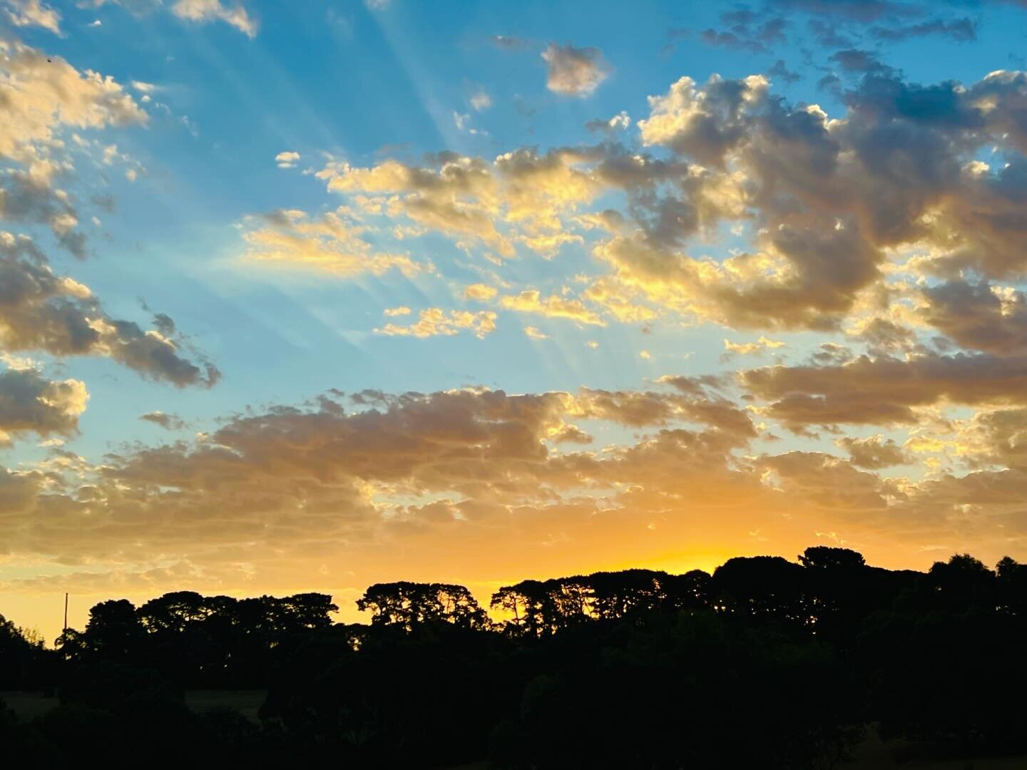 Bonne nuit. 💛

#countrysunset #countrylife #naturesfilter #mycalm