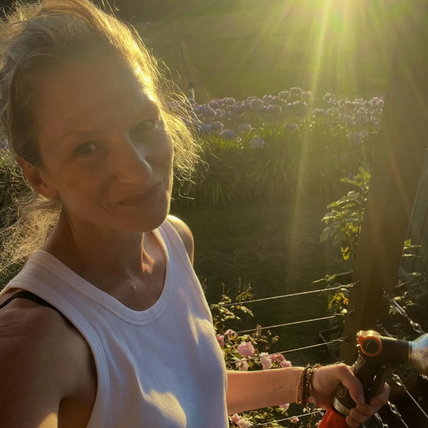 Is there any better way to end the day? 💛

#mygarden #lovemyplants #breathe