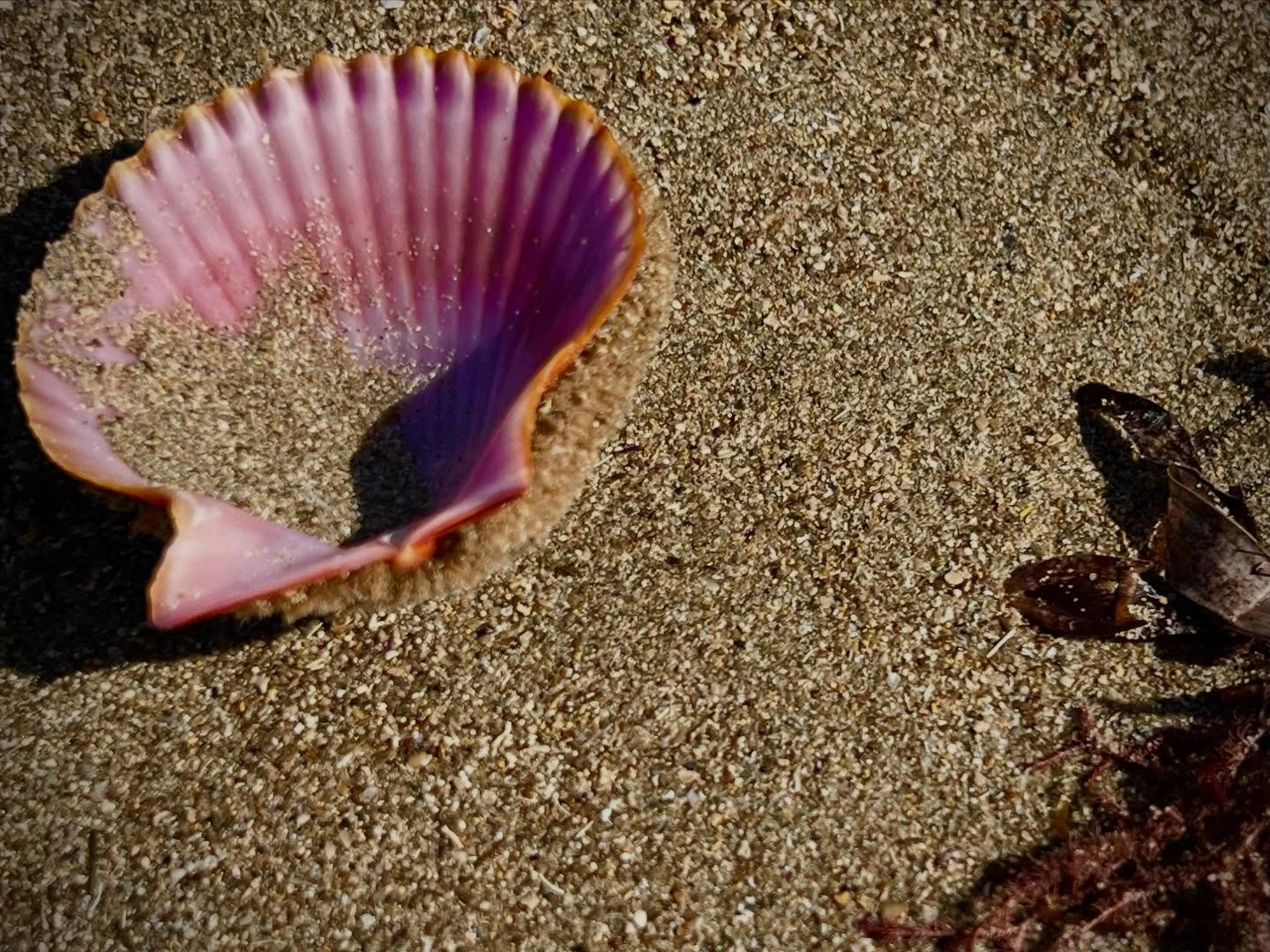 Absolute perfection.  My happy place.  My oxygen.  Much needed today. 

#mentalhealth #beachinspo #beachcomber