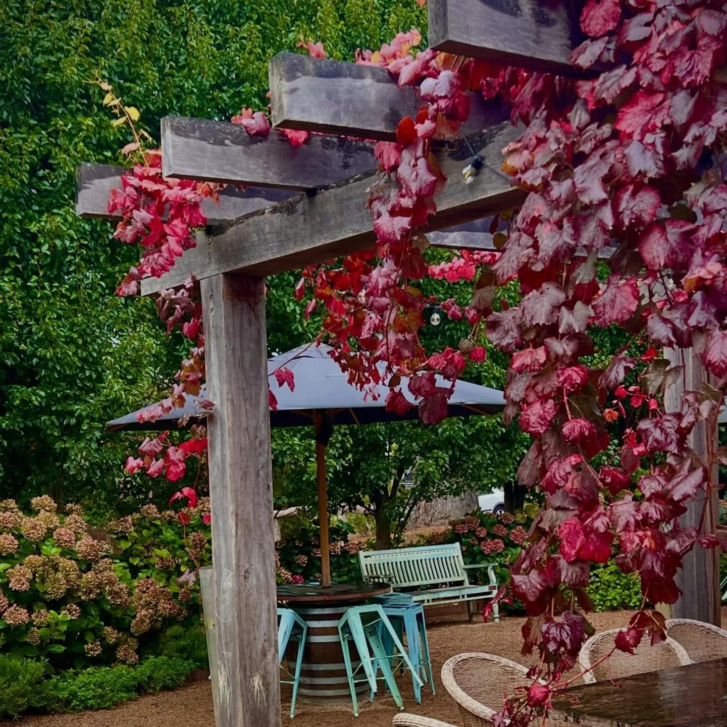 Autumn has arrived in the most perfect way @merricksstore 

💛 🍁 🍂 

#coffeerituals