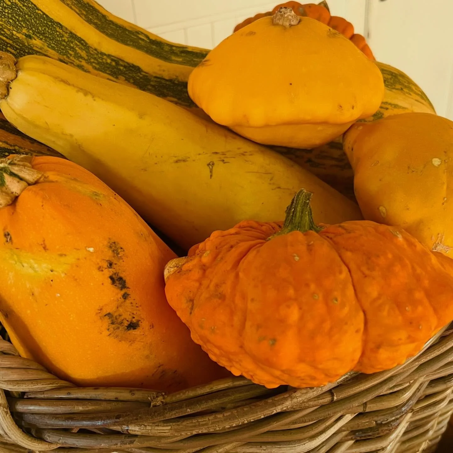 Squash me silly! 💛

#autumn 

@merricksstore