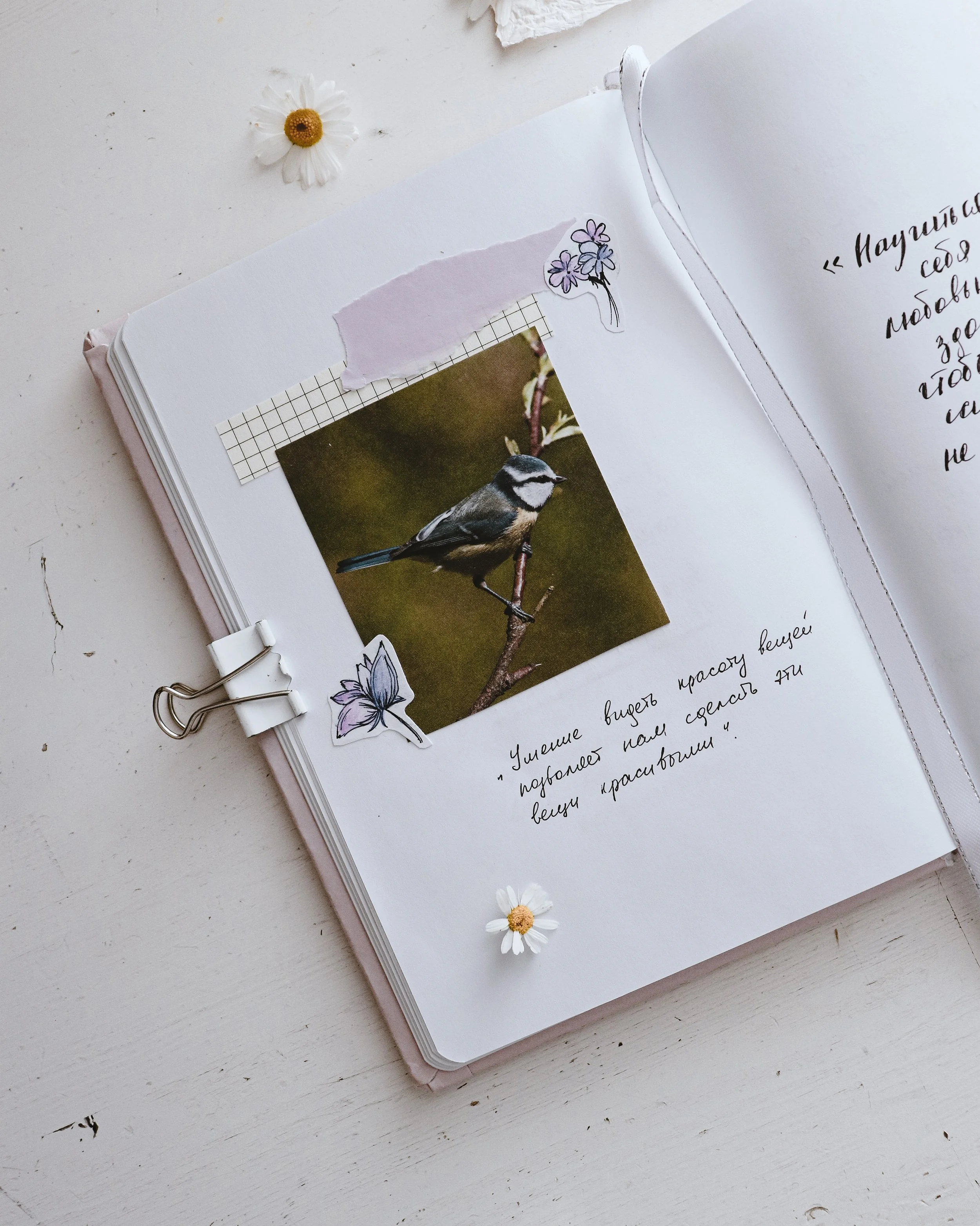Books for Active Grieving (Journals)