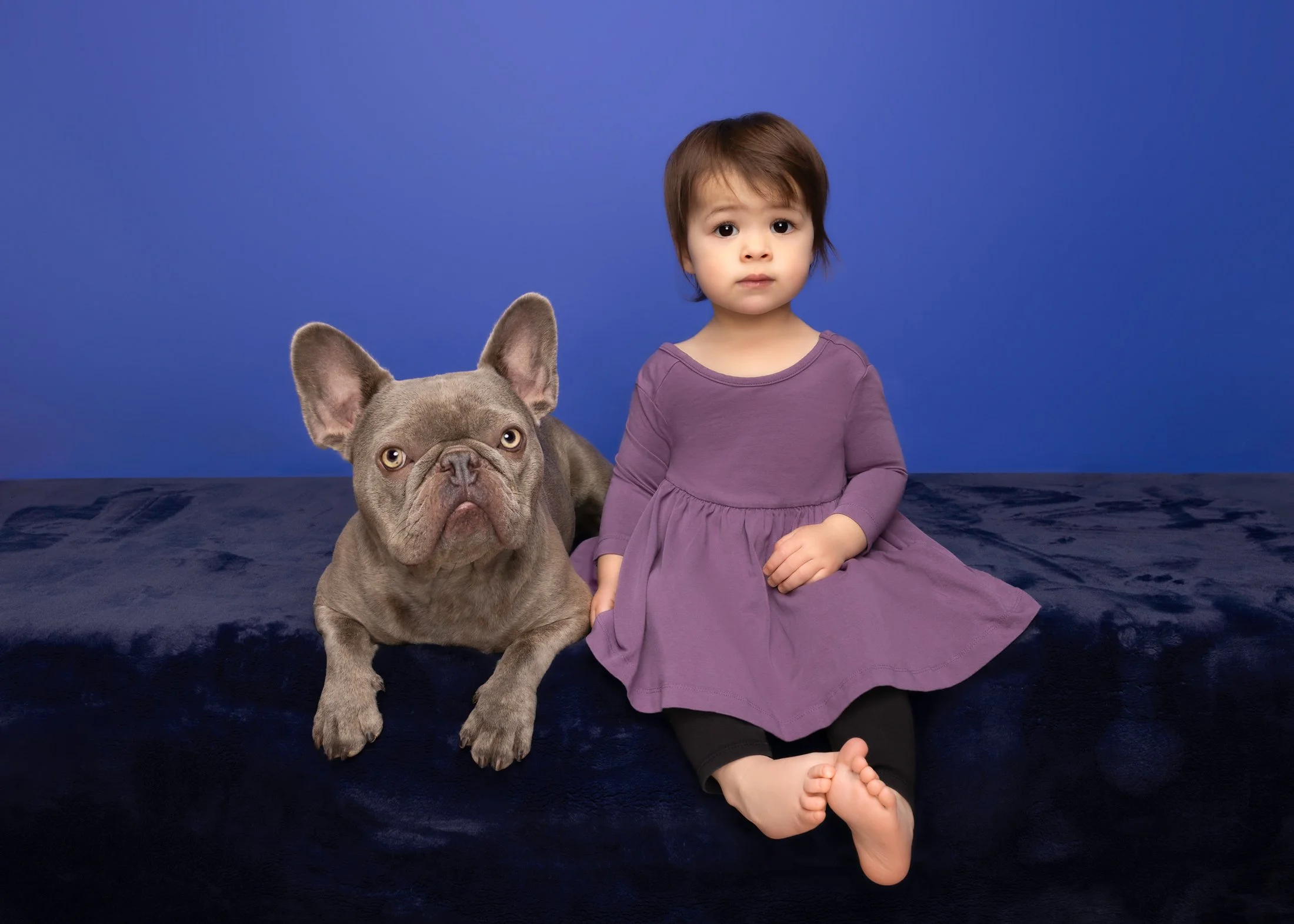 A young girl in a purple dress sitting on a dark blue blanket with a French bulldog lying next to her, against a blue background.