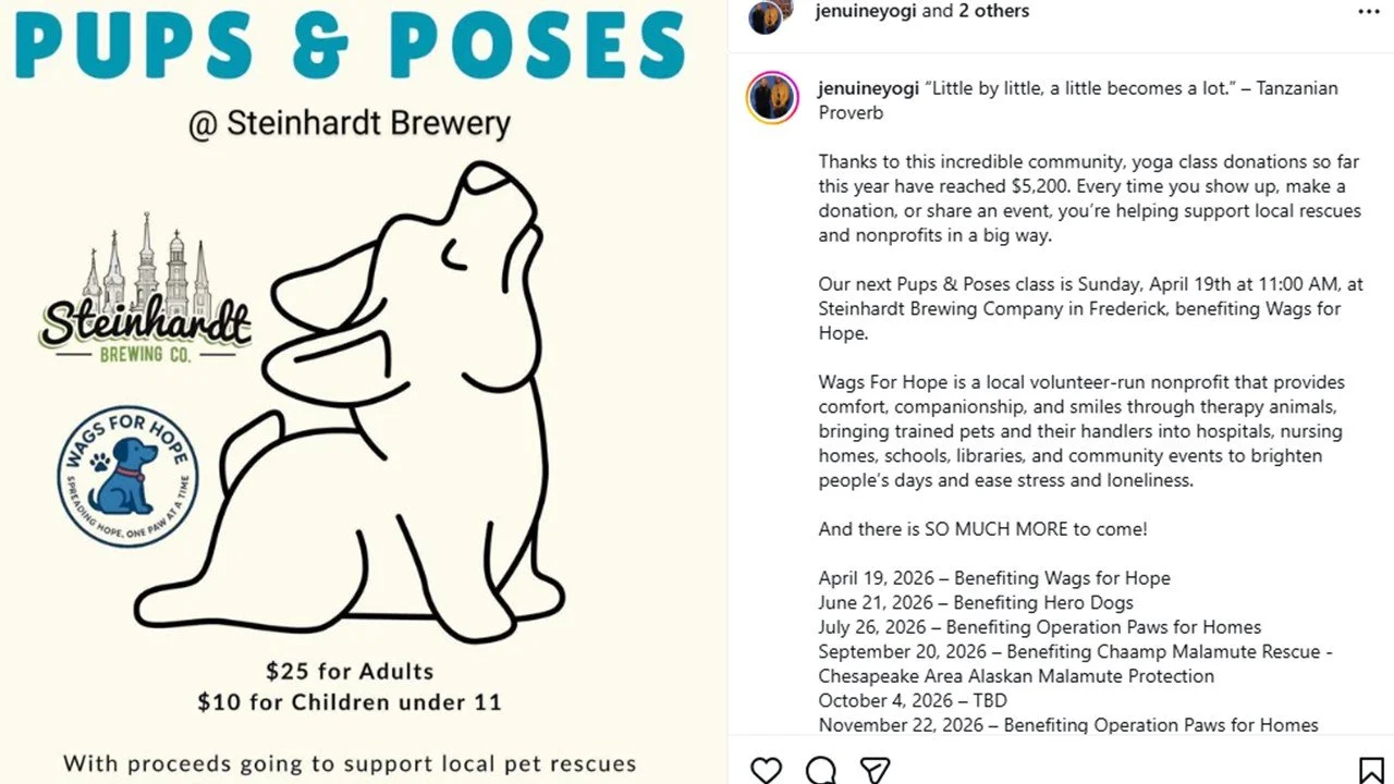 Pups and Poses with PetConnect Rescue