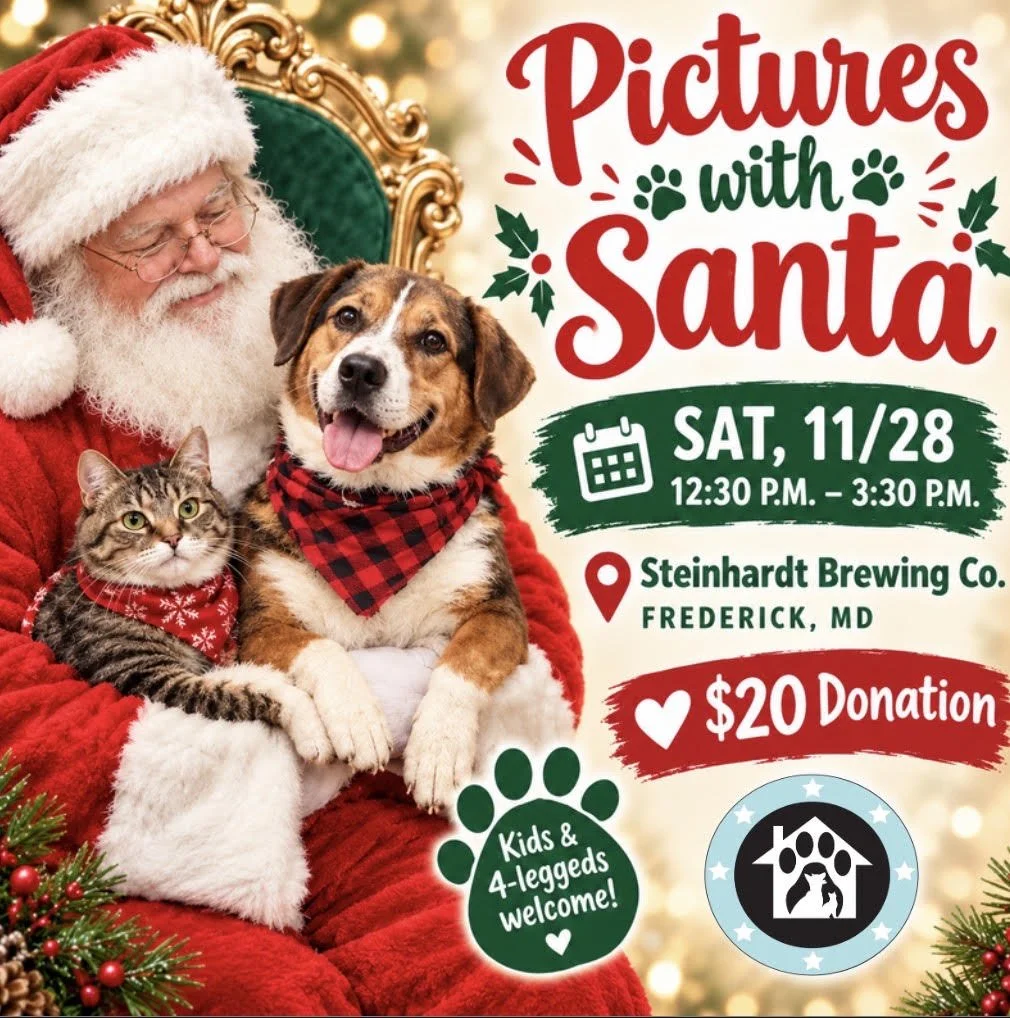 Pictures with Santa
