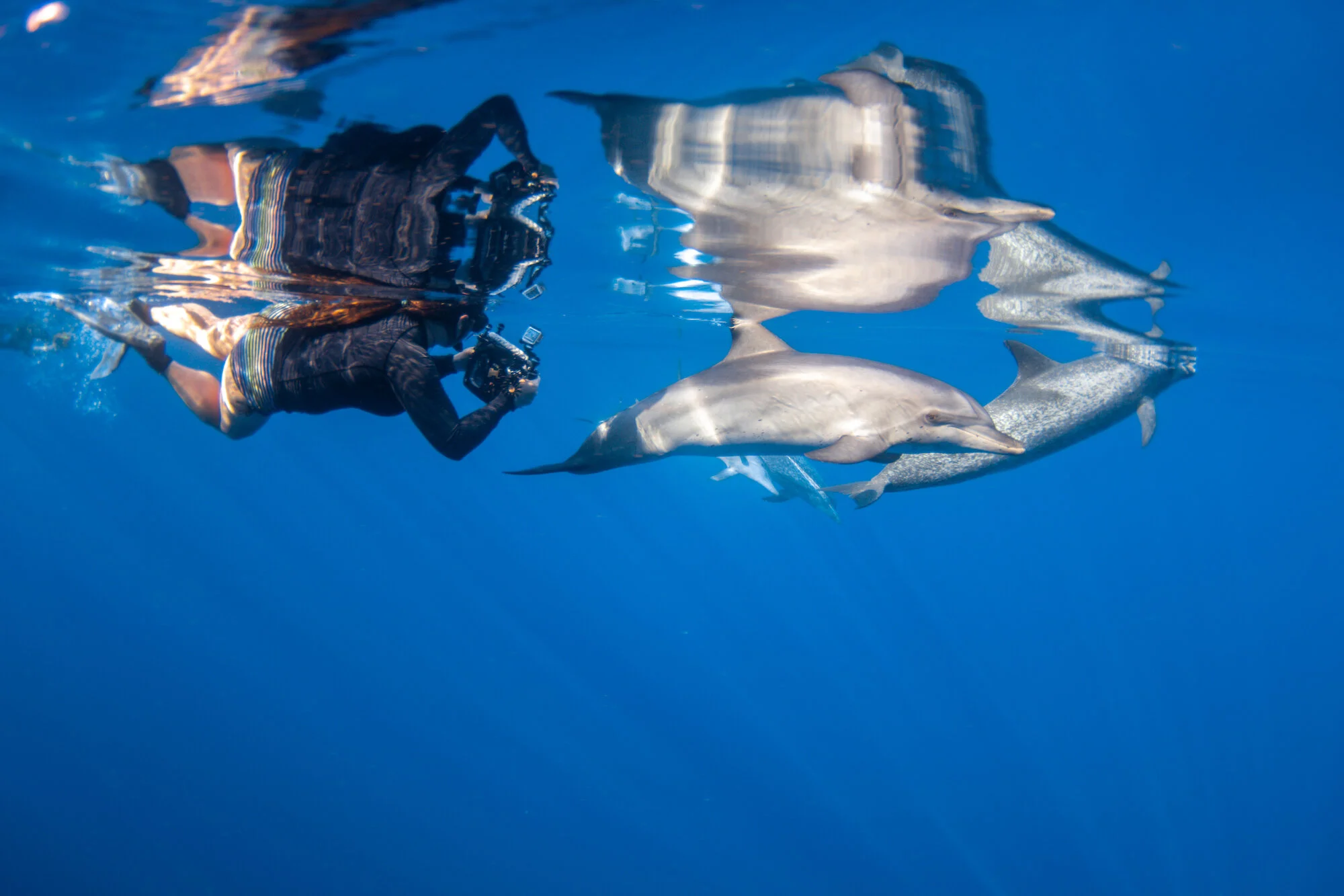 A Marine Biologist: My Life in the Sea — Vero Beach Portfolio Magazine