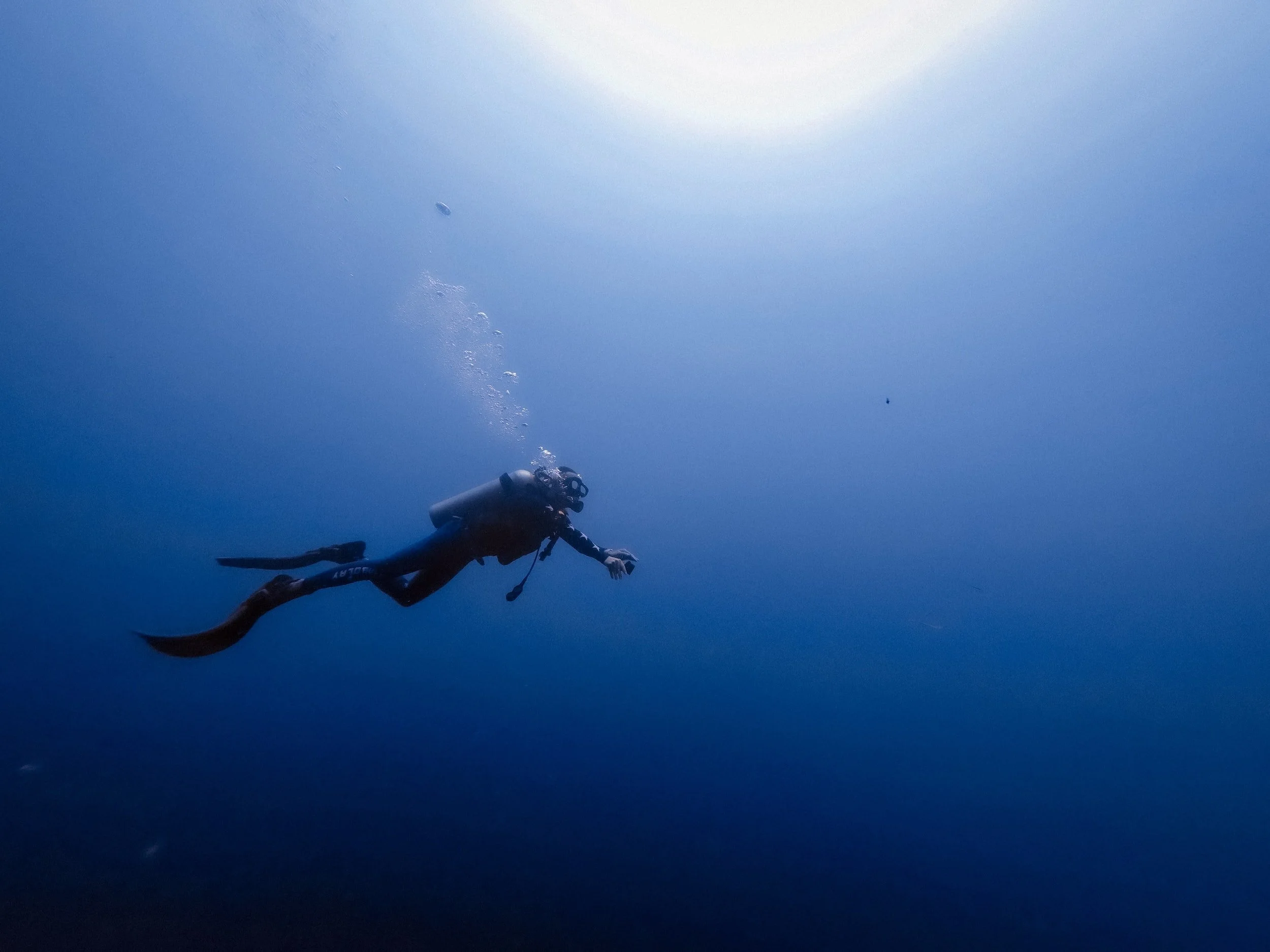 The Five Best Places in Florida to Get Scuba Certified — Vero Beach  Portfolio Magazine