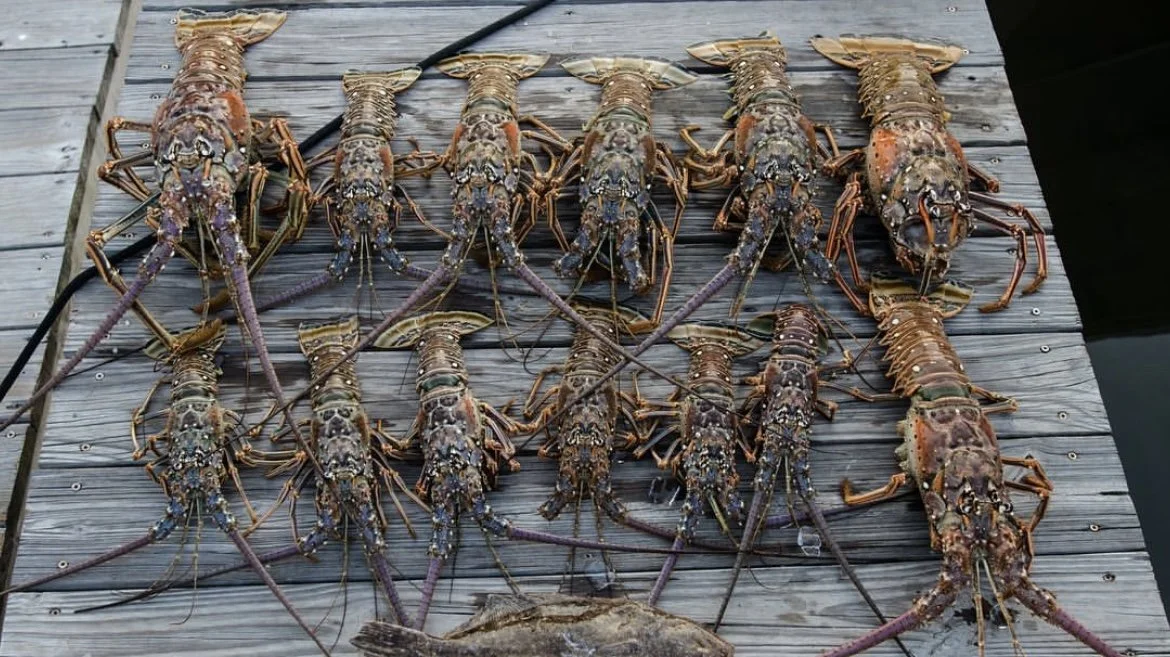 Captain Goop Charters Florida Lobster Season — Portfolio Magazine