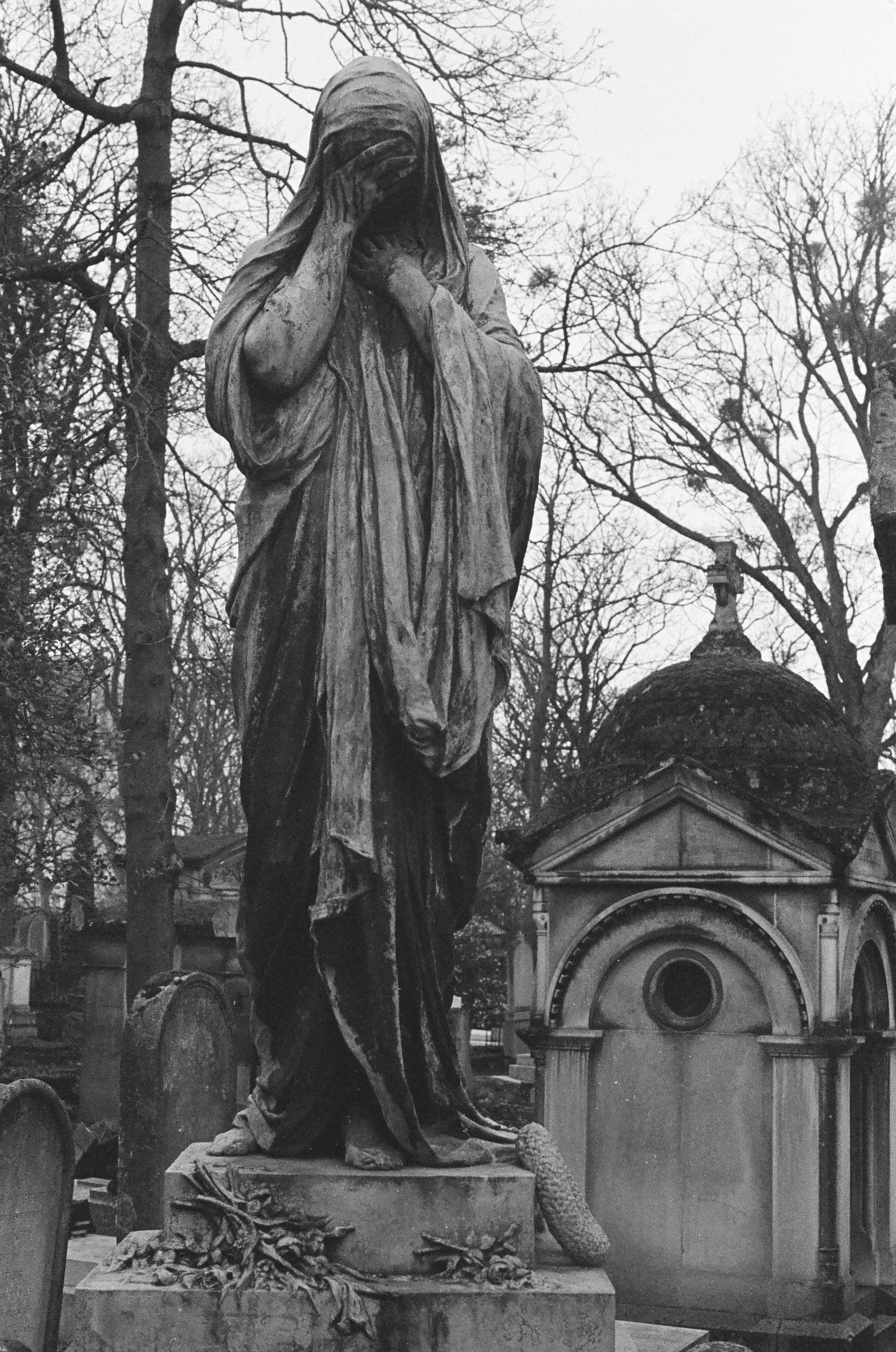 274932720030_### 2.jpg