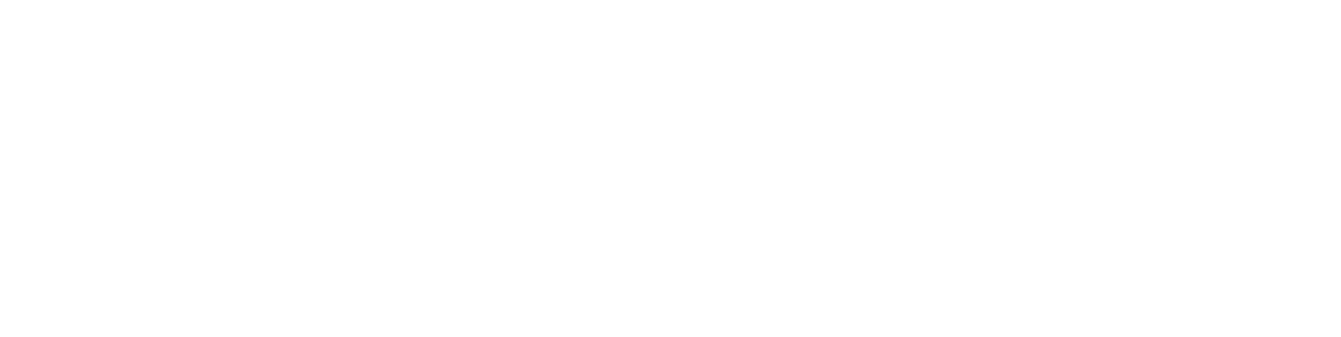 LCS RISE Institute