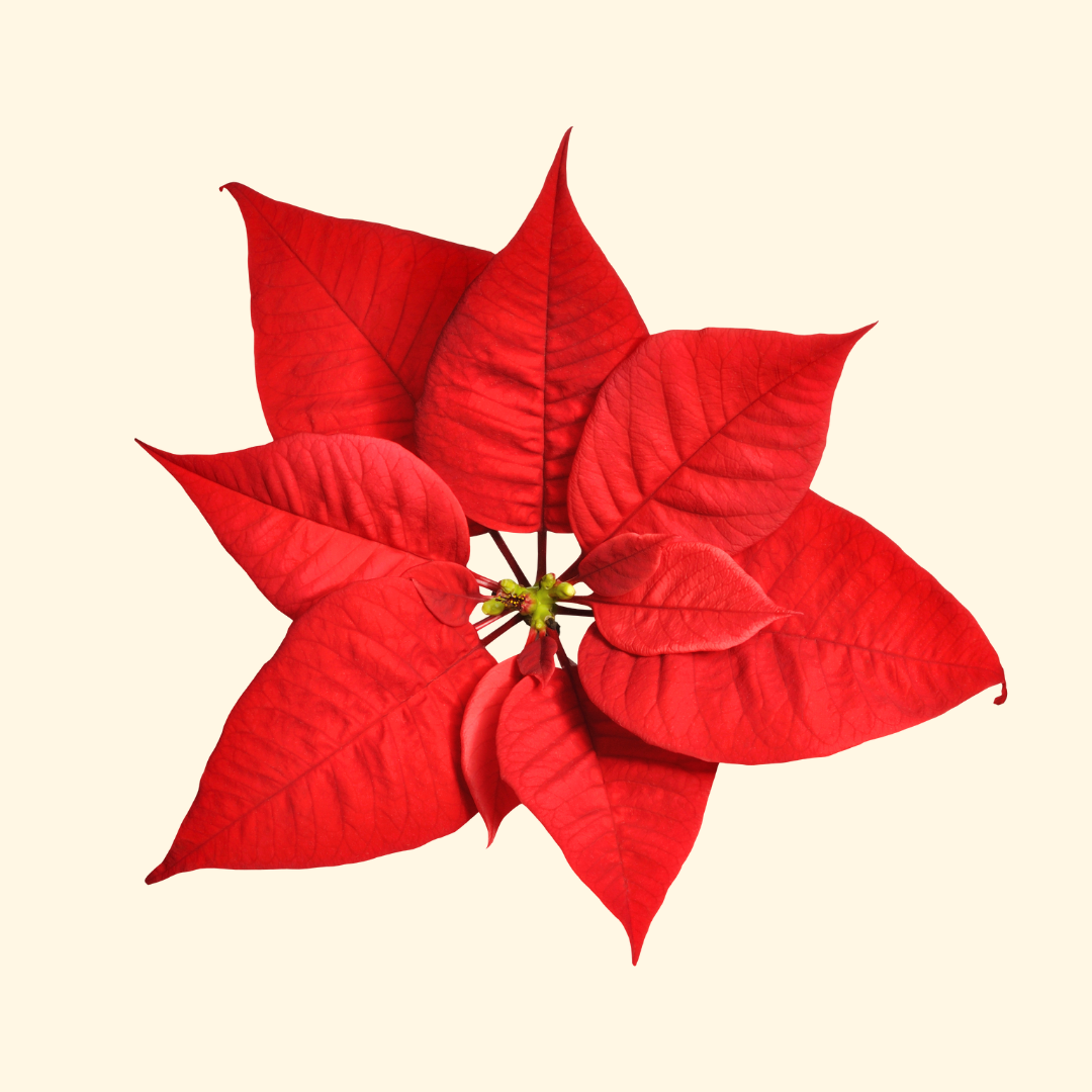 Untitled design (3).png