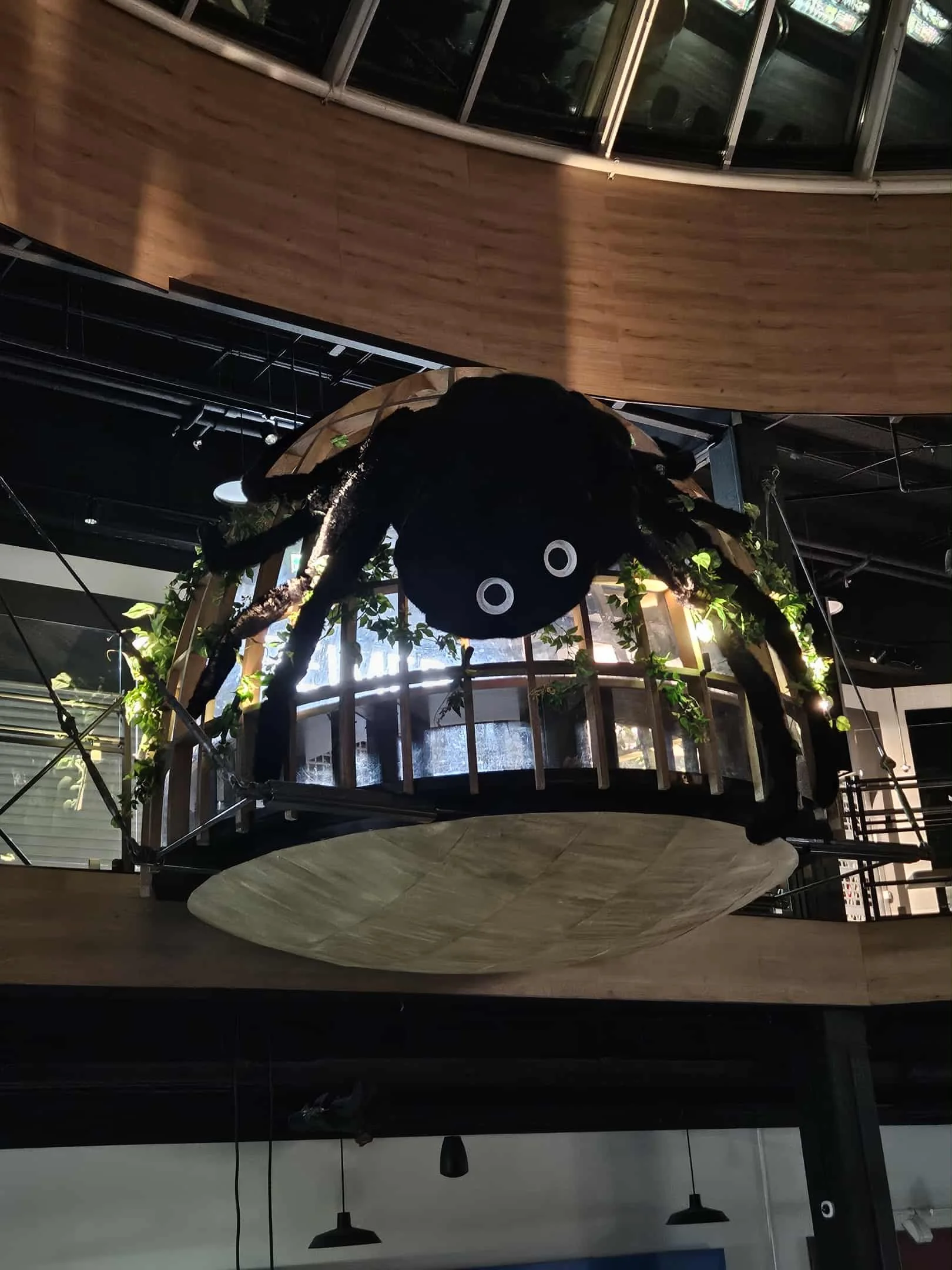 f84b4e0d-ce91-4d2f-bcbb-2c8f0ca39a5d.jfif