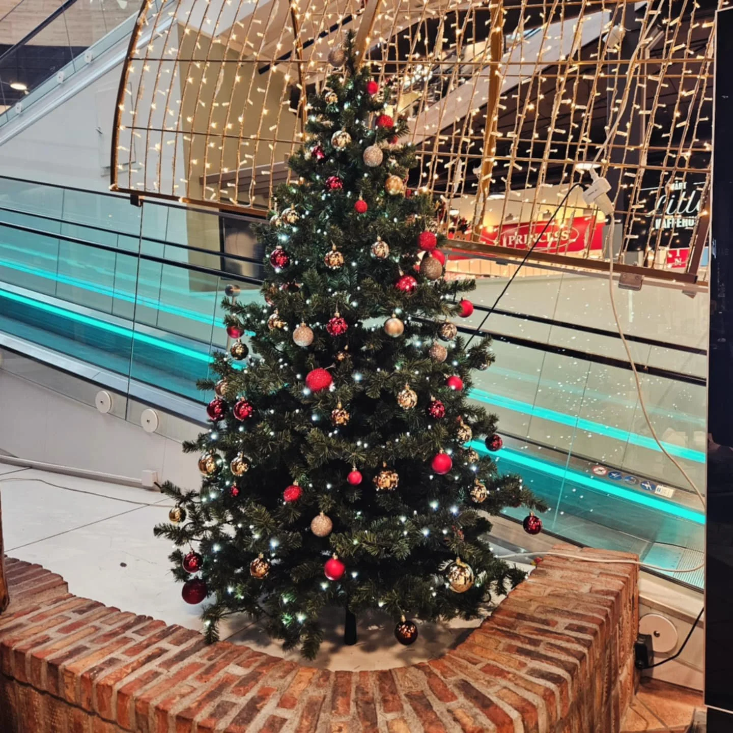 68941b4b-62ac-4eb4-90d7-cf90baa13dce.jfif