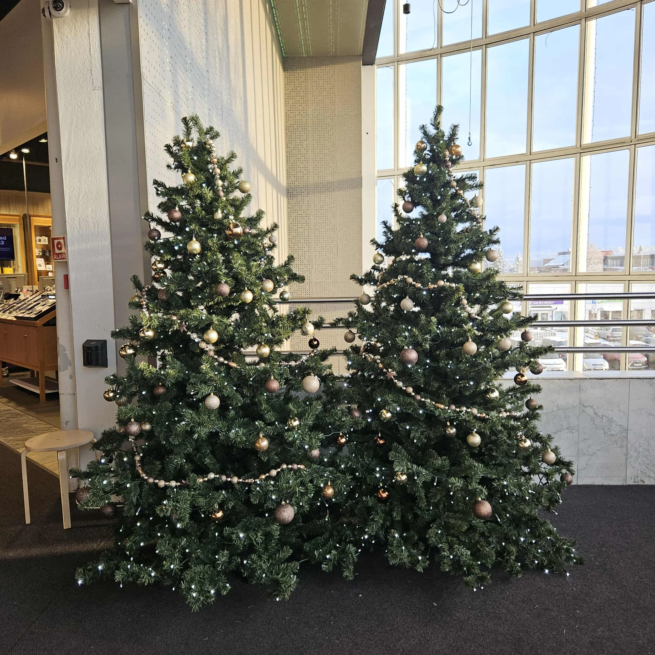 4f820c45-0f86-4cff-9be0-8c2156ea1052.jfif