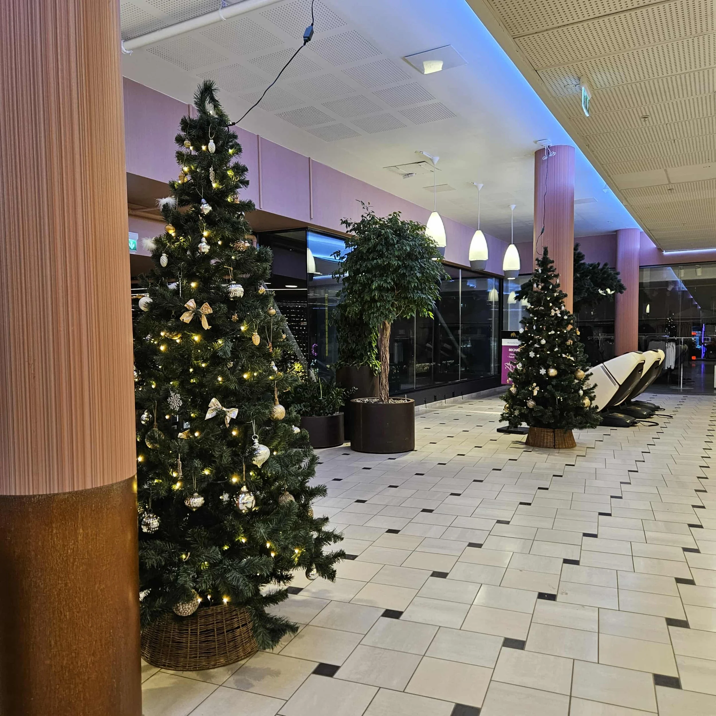 5576c9e5-0b83-42ff-90cb-390cd0772560.jfif