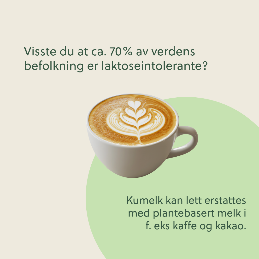 Uten tittel-3-Melk.png