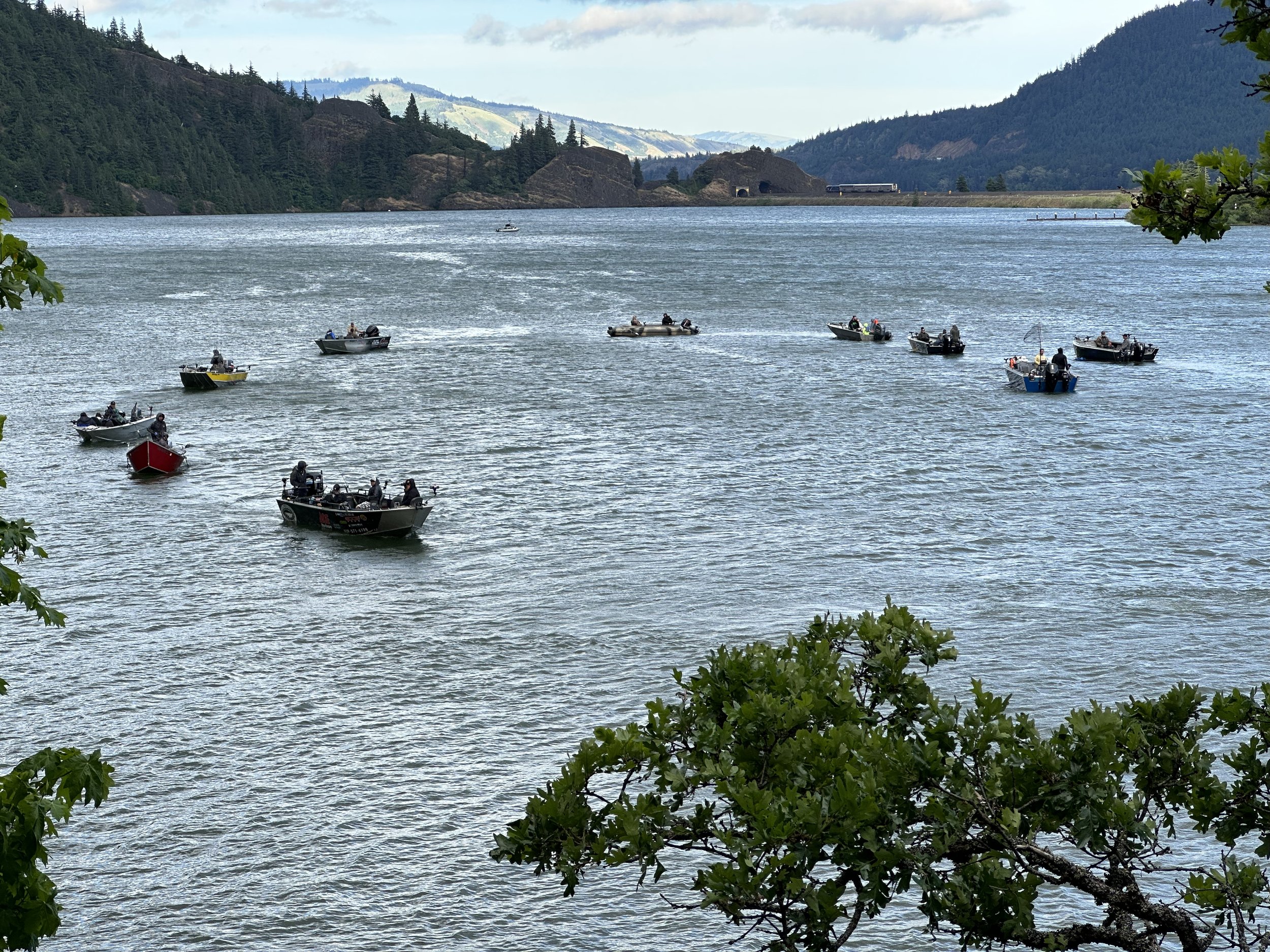 Columbia River Cold Water Refuges Plan