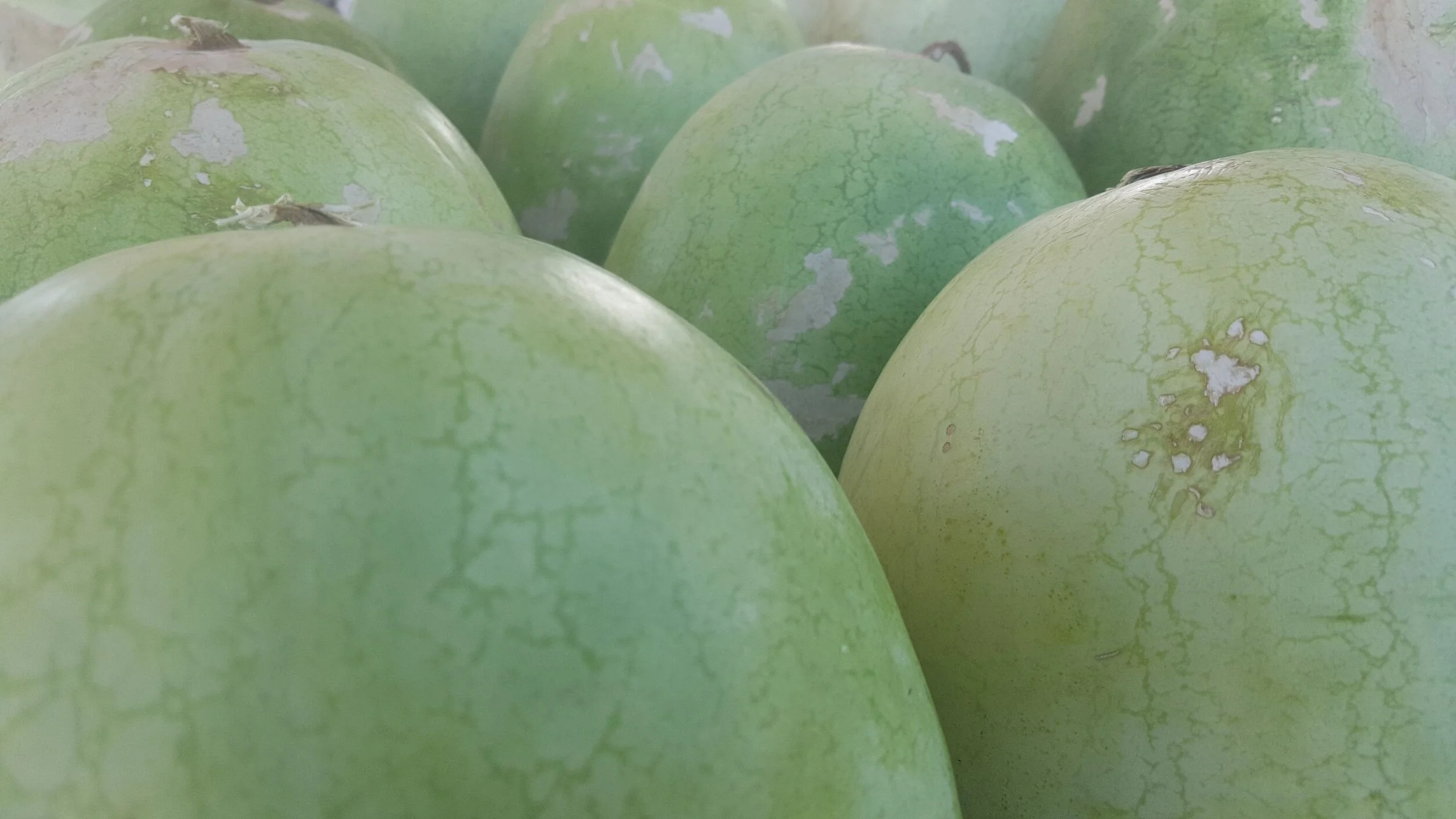 Watermelons
