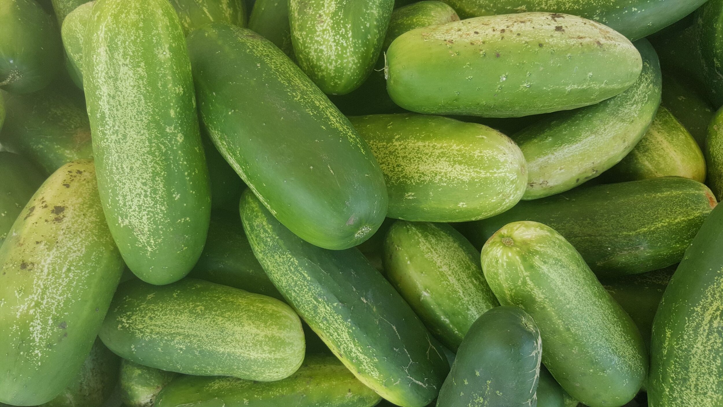 Cucumbers