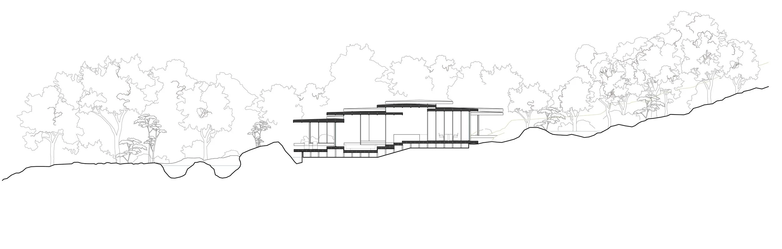 EX FIGURA_Kasane_2026_section 02.jpg