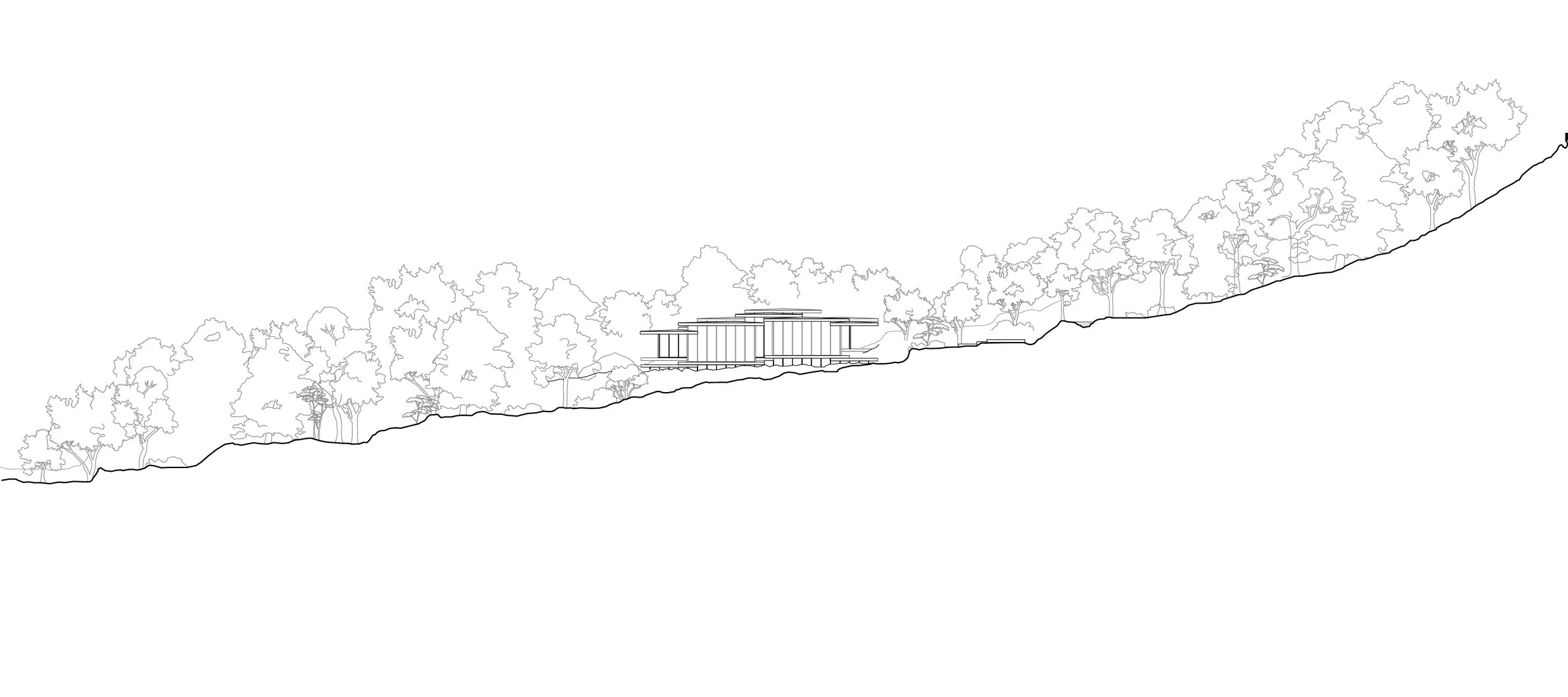 EX FIGURA_Kasane_2026_section 01.jpg