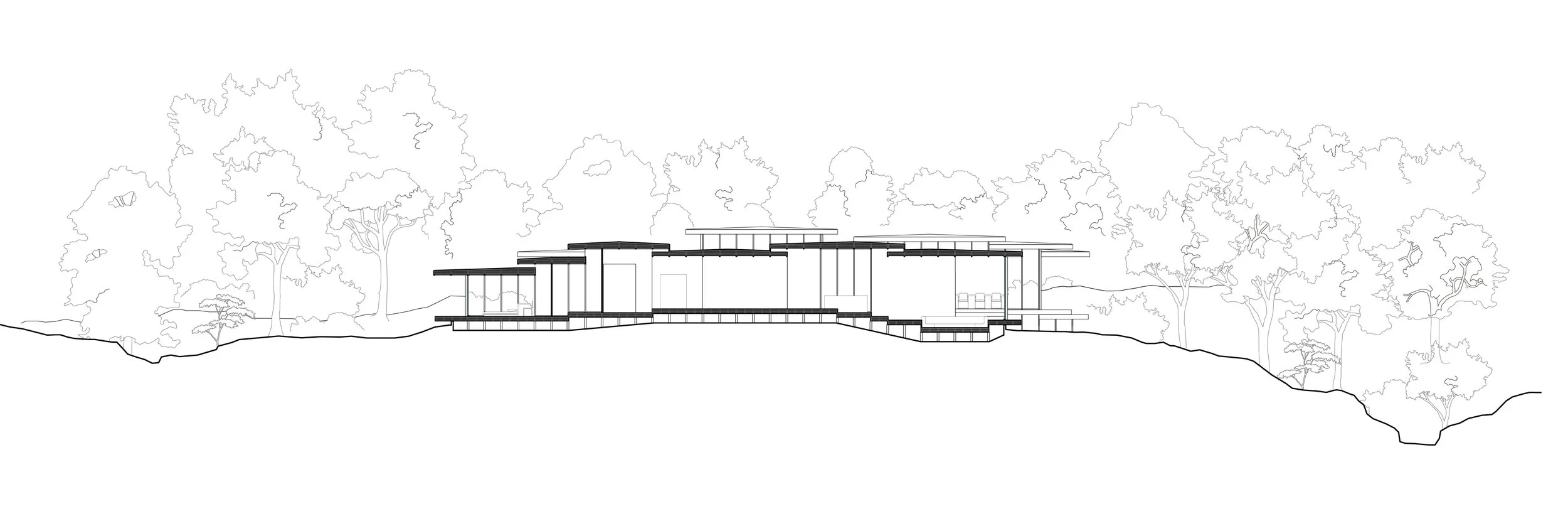 EX FIGURA_Kasane_2026_section 03.jpg