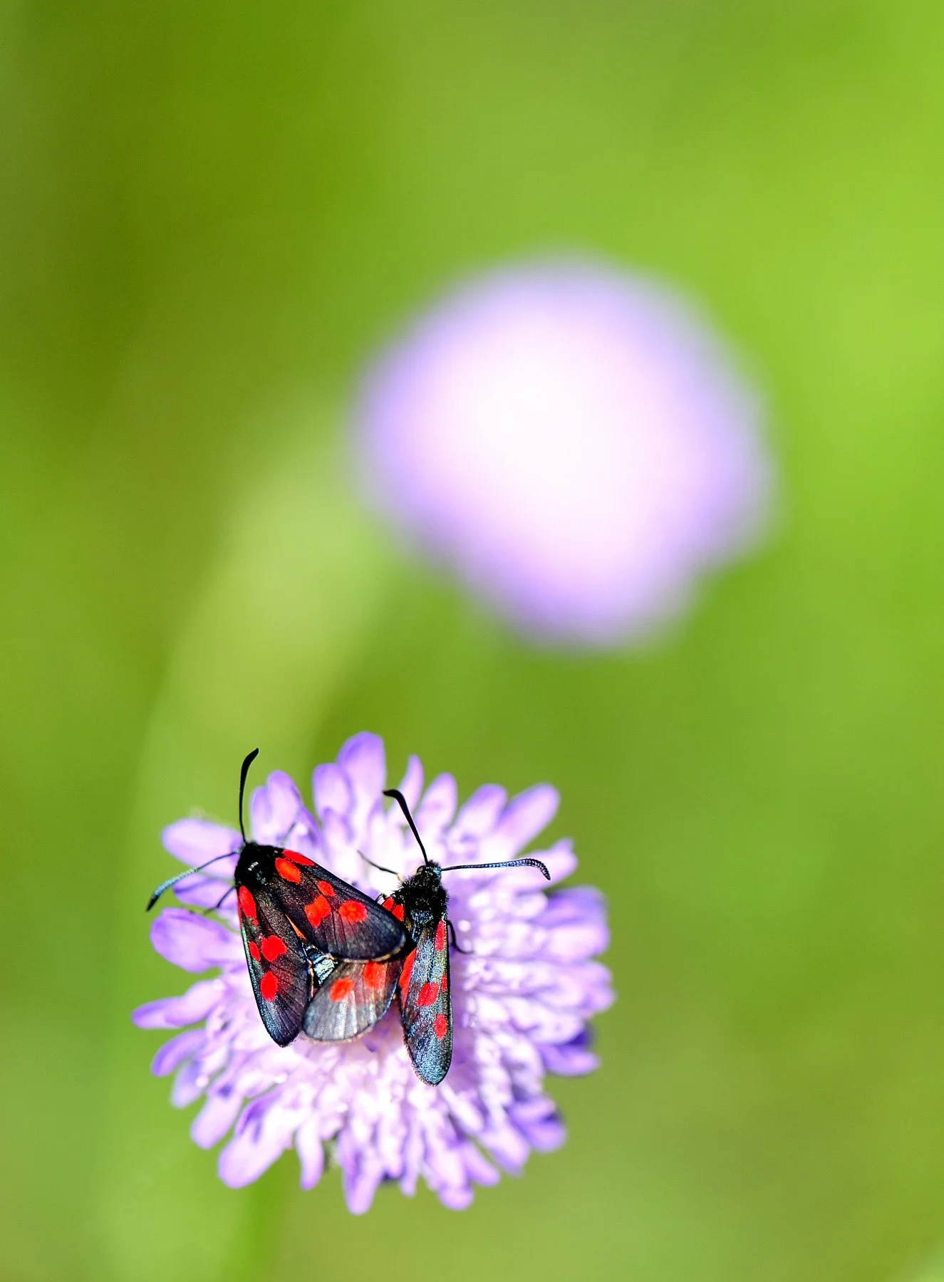 _DSC3148 affinity.jpg