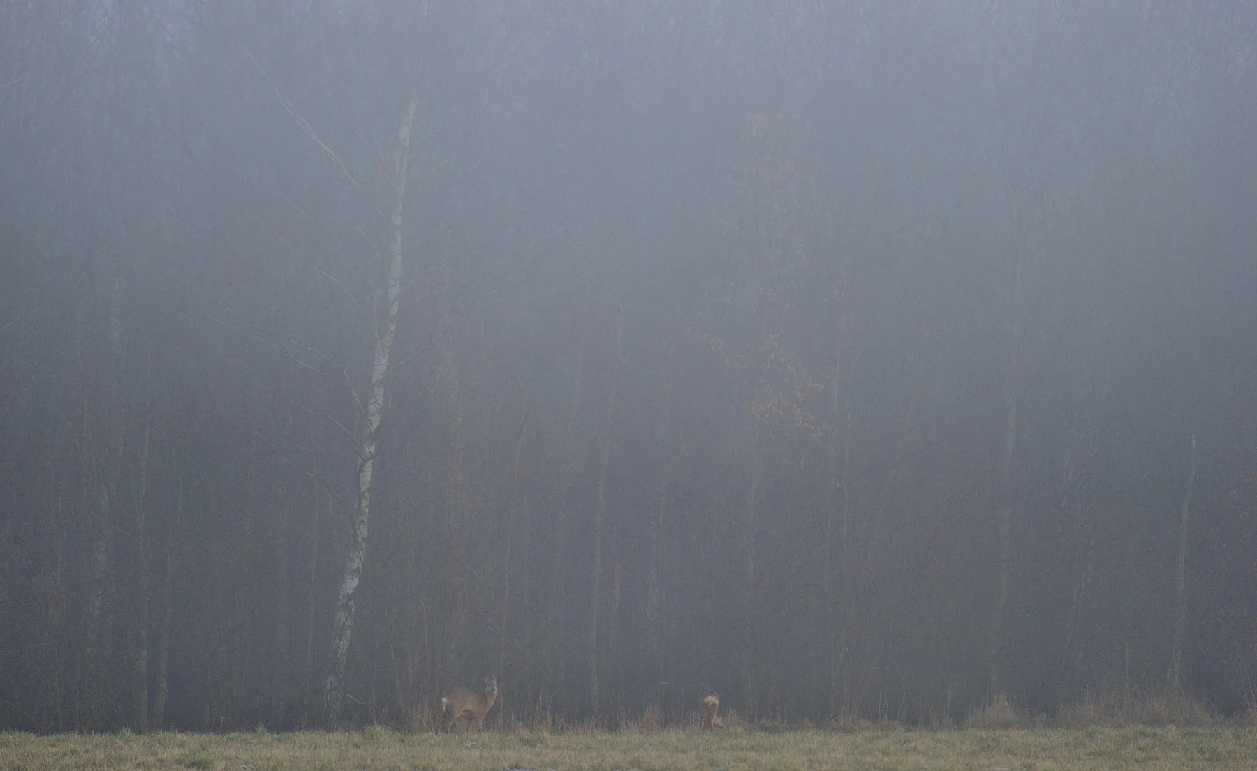 _DSC7071 affinity.jpg