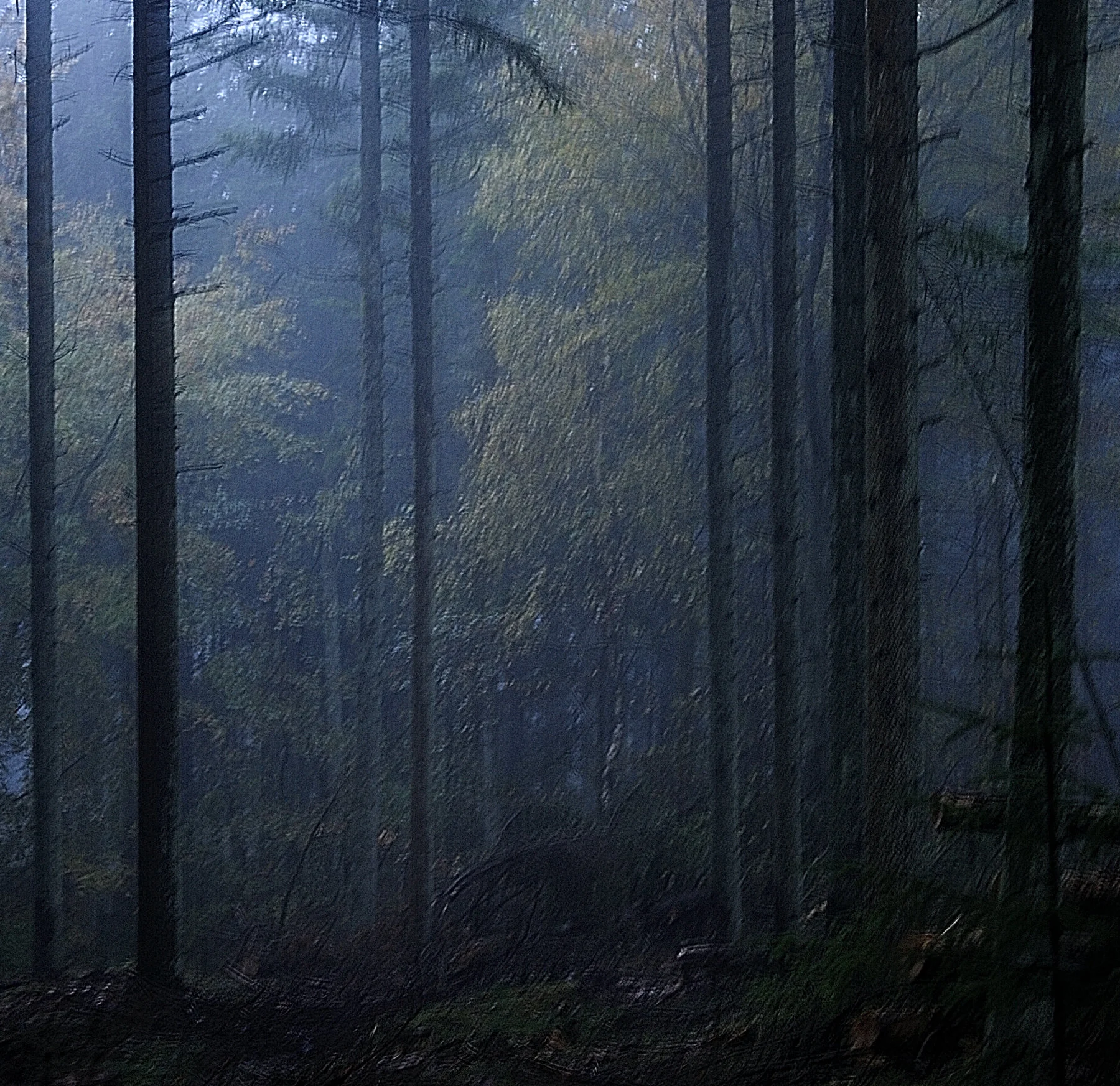 _DSC7363.jpg