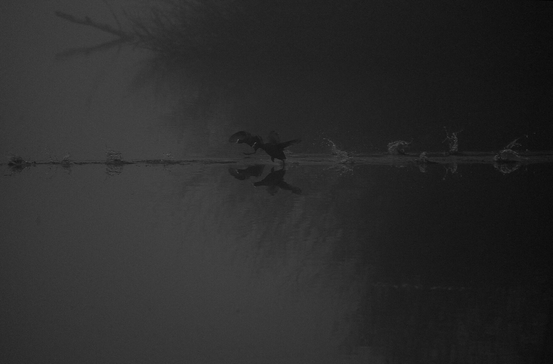 _D4N5018_01.jpg