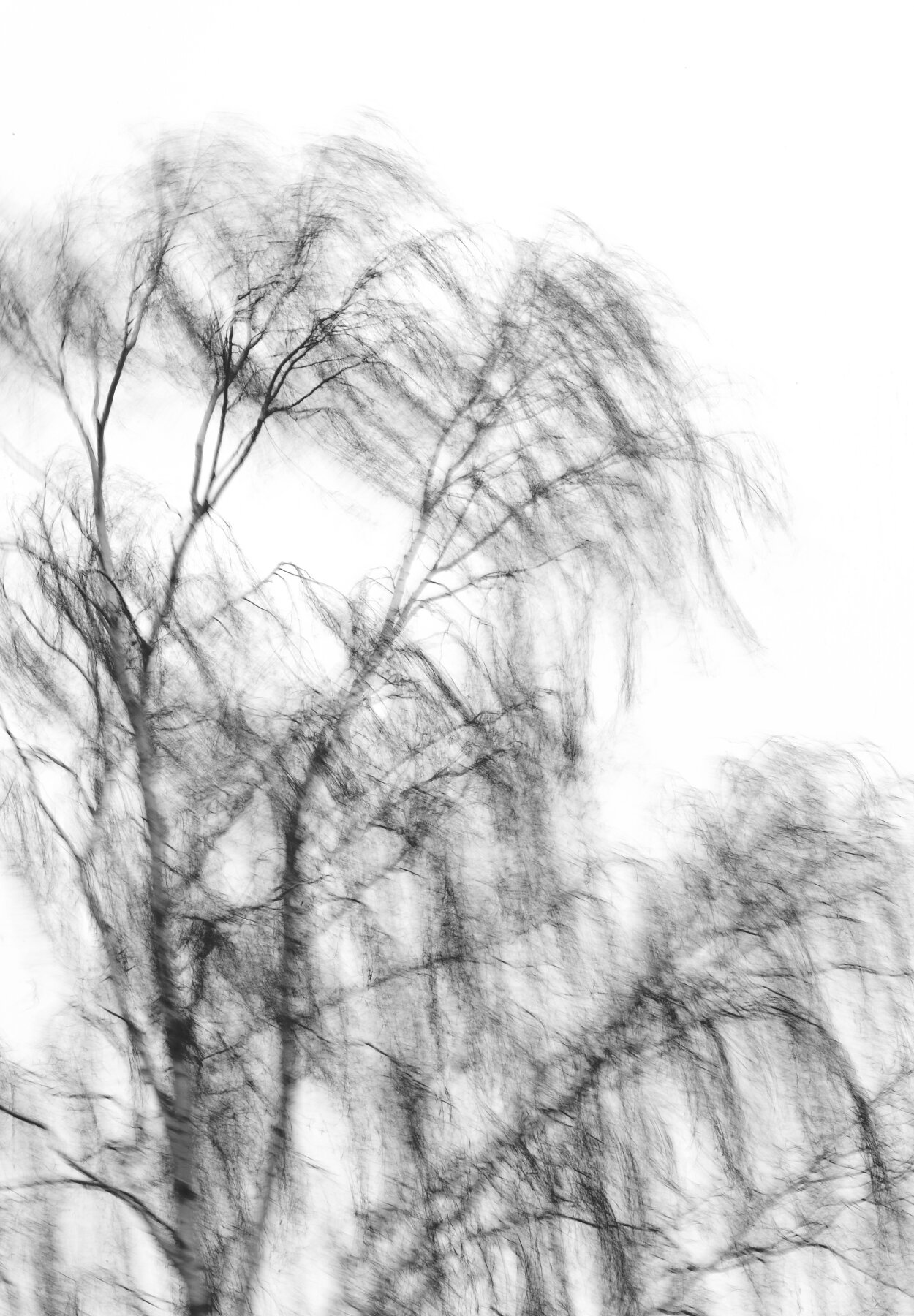 _D4N1795.jpg