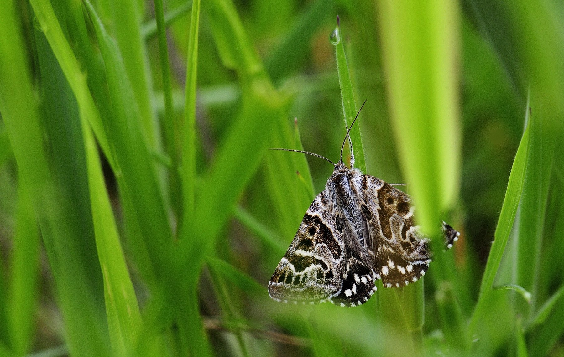 _DSC8226_02 affinity.jpg