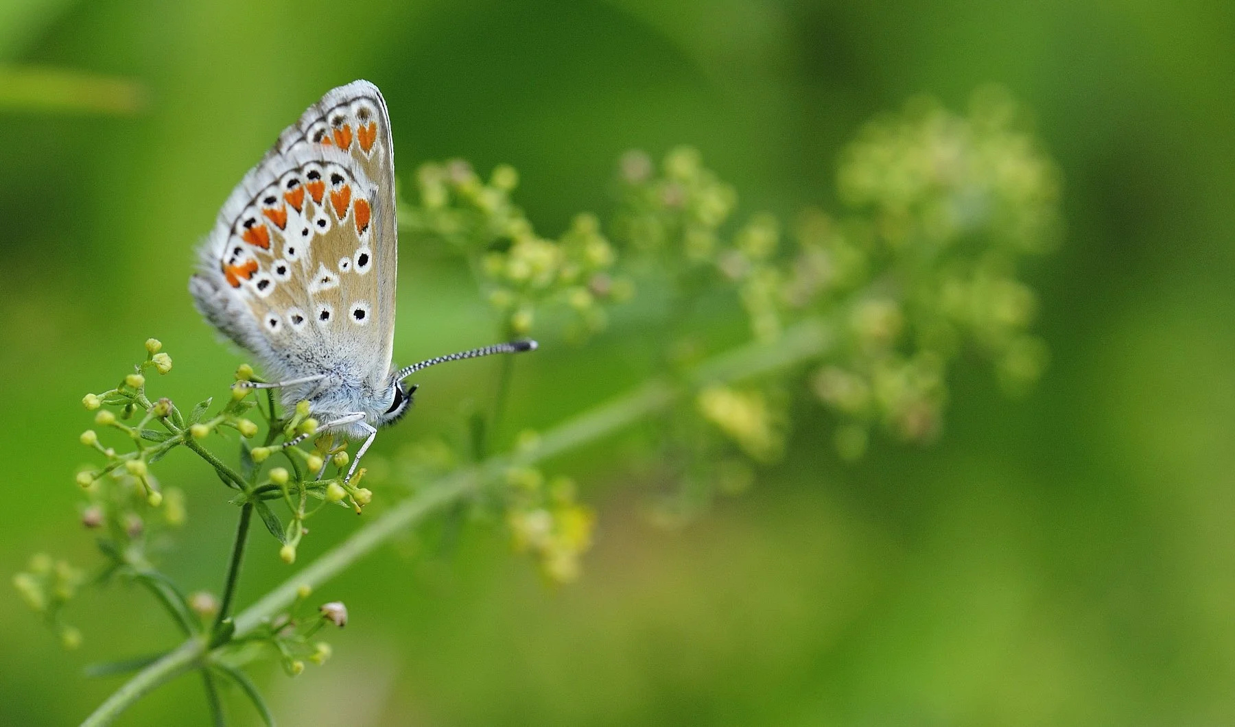 _DSC4016 affinity.jpg