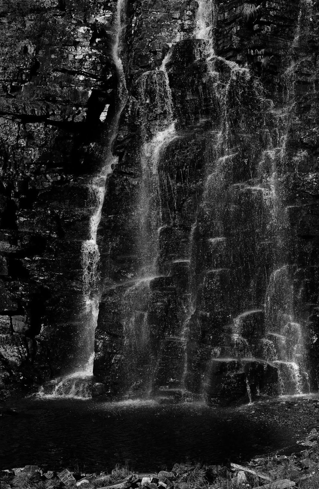 _DSC8653.jpg