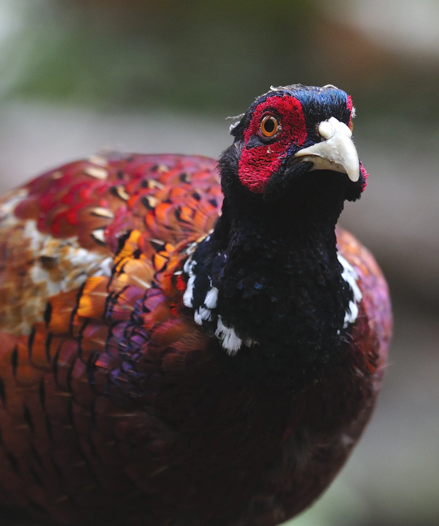 _DSC9991 affinity.jpg