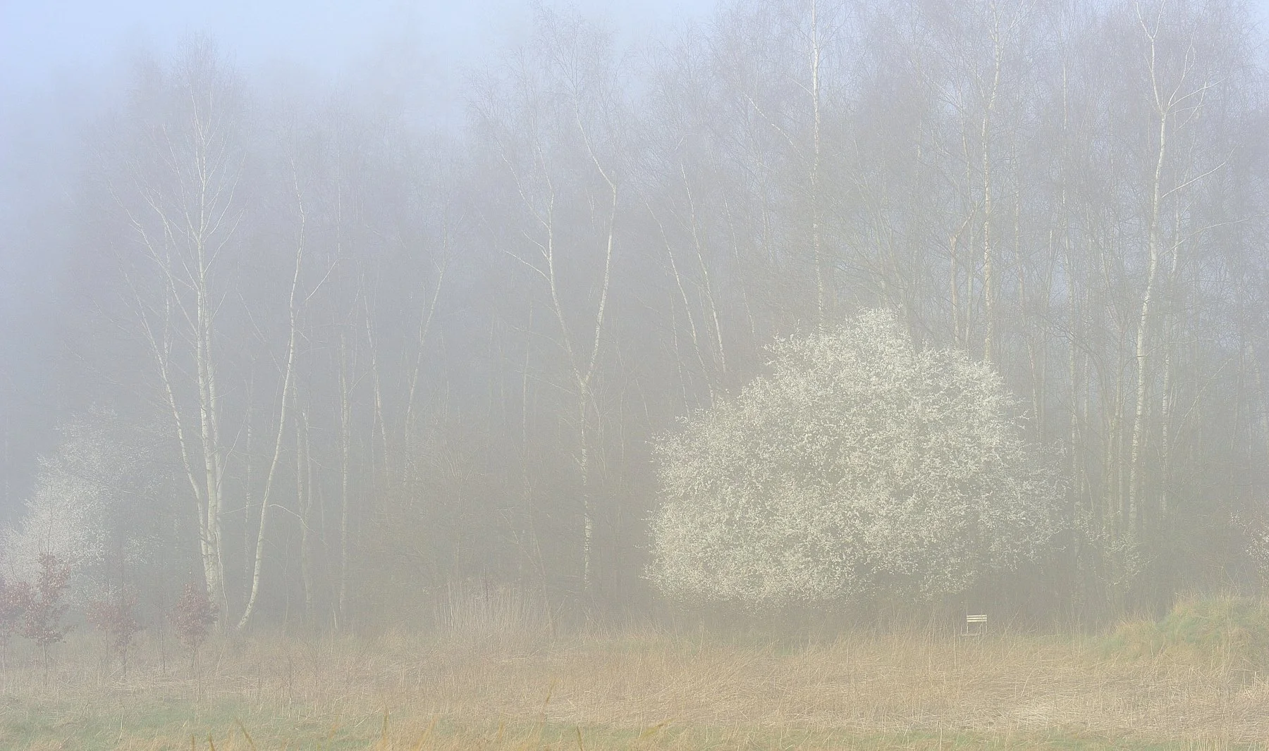 _DSC7673 affinity.jpg