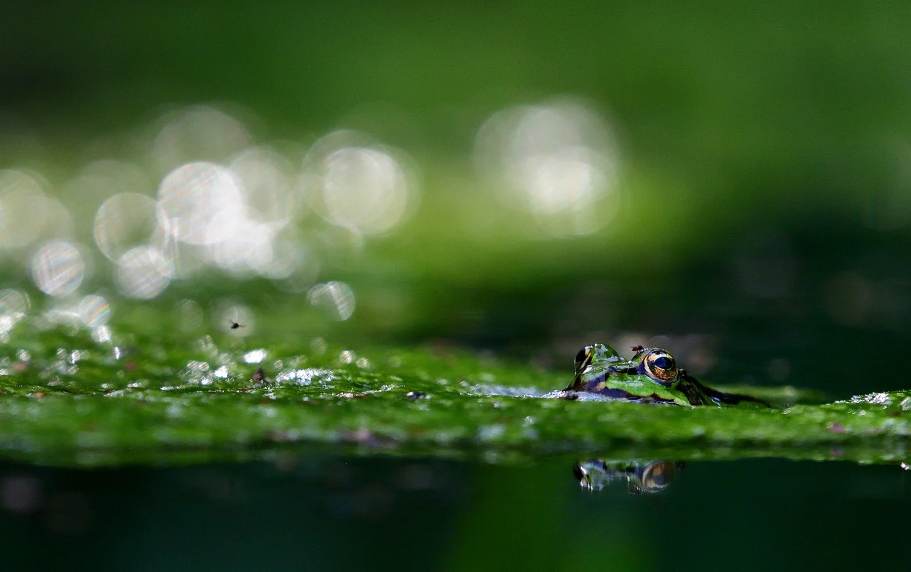 DSC_4433_01 affinity.jpg