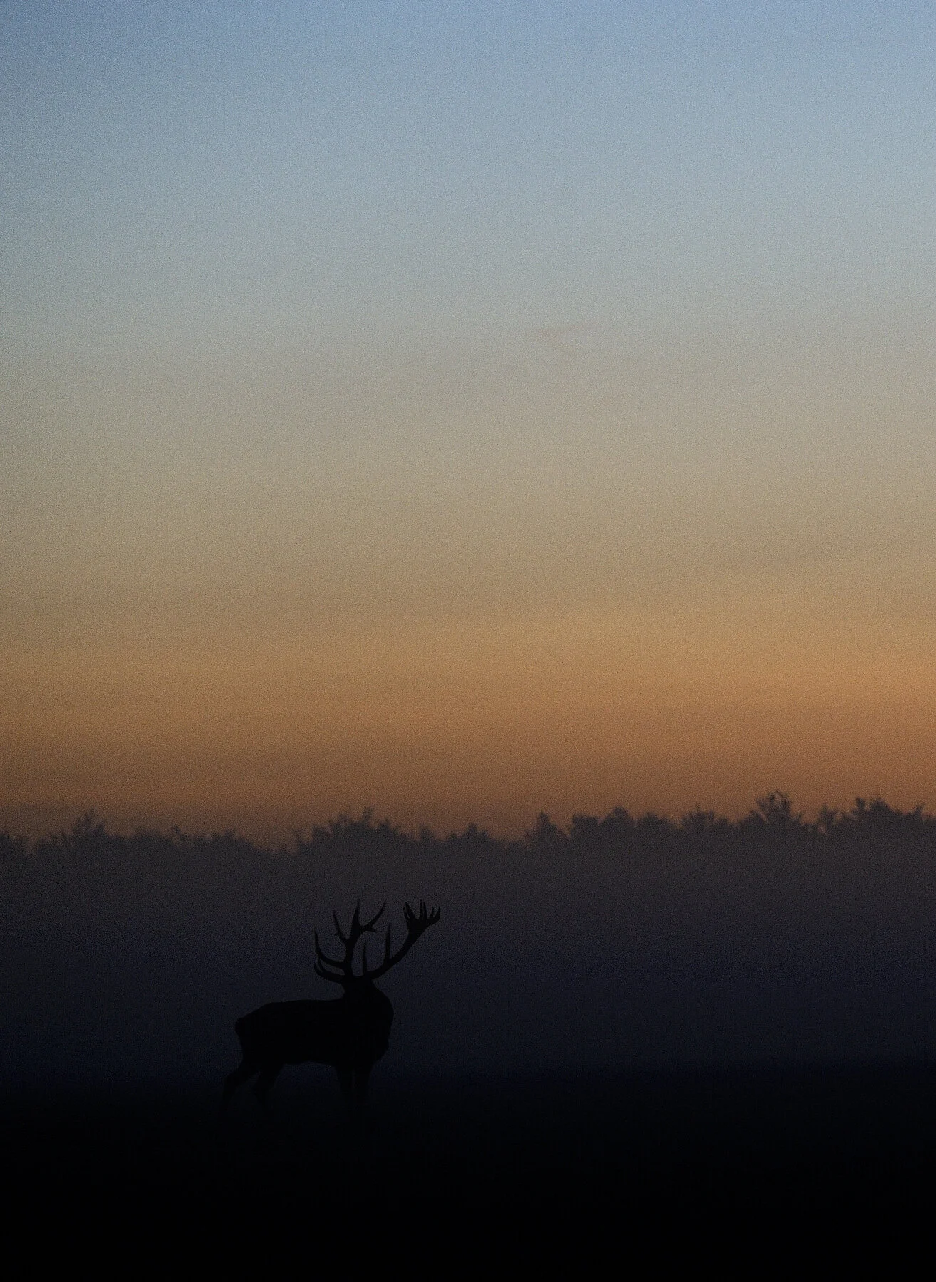 _DSC5628.jpg