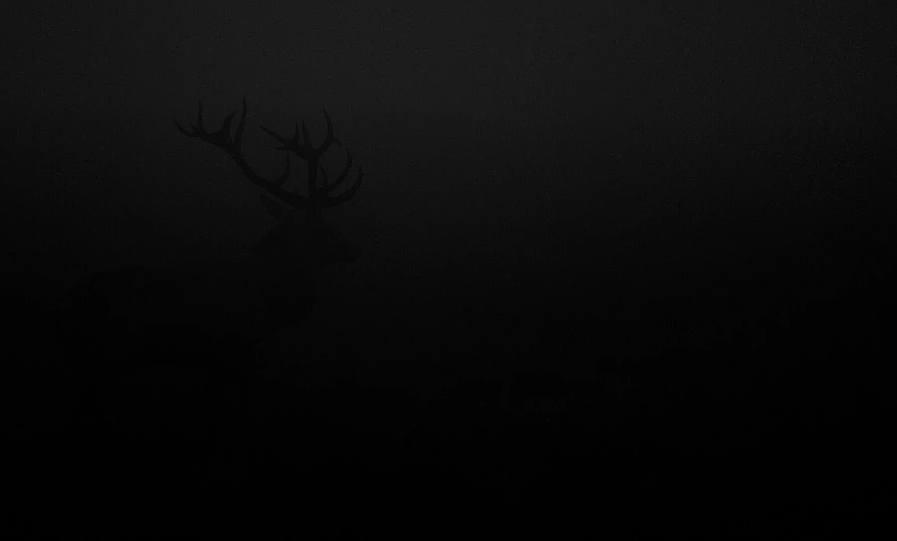 _DSC5784.jpg