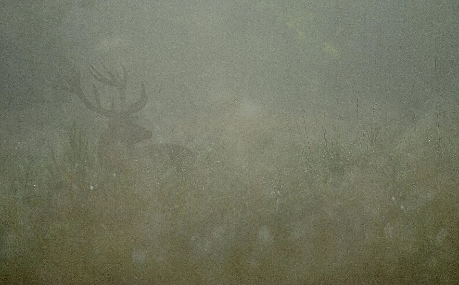 _DSC8034.jpg