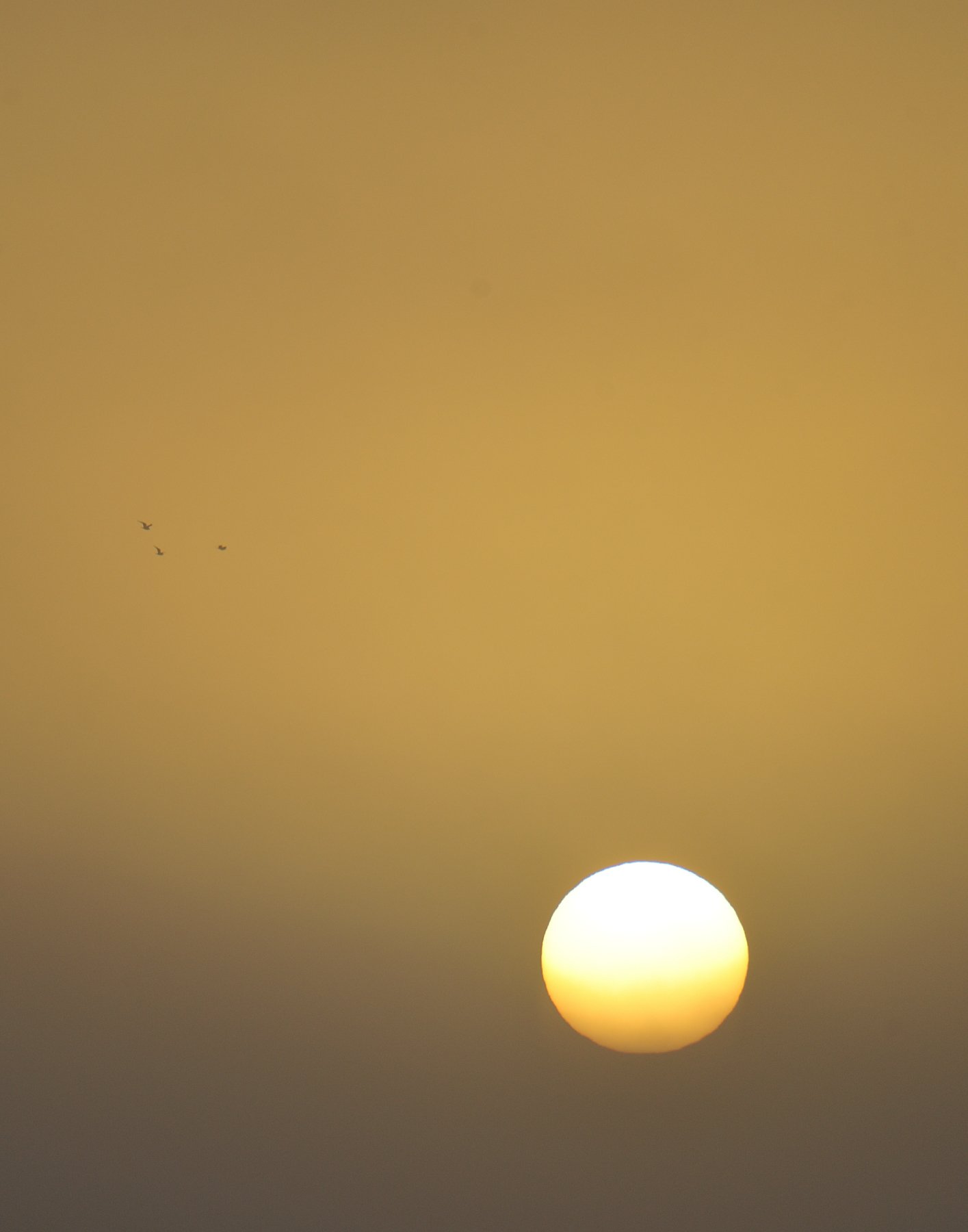 _DSC7065 affinity.jpg