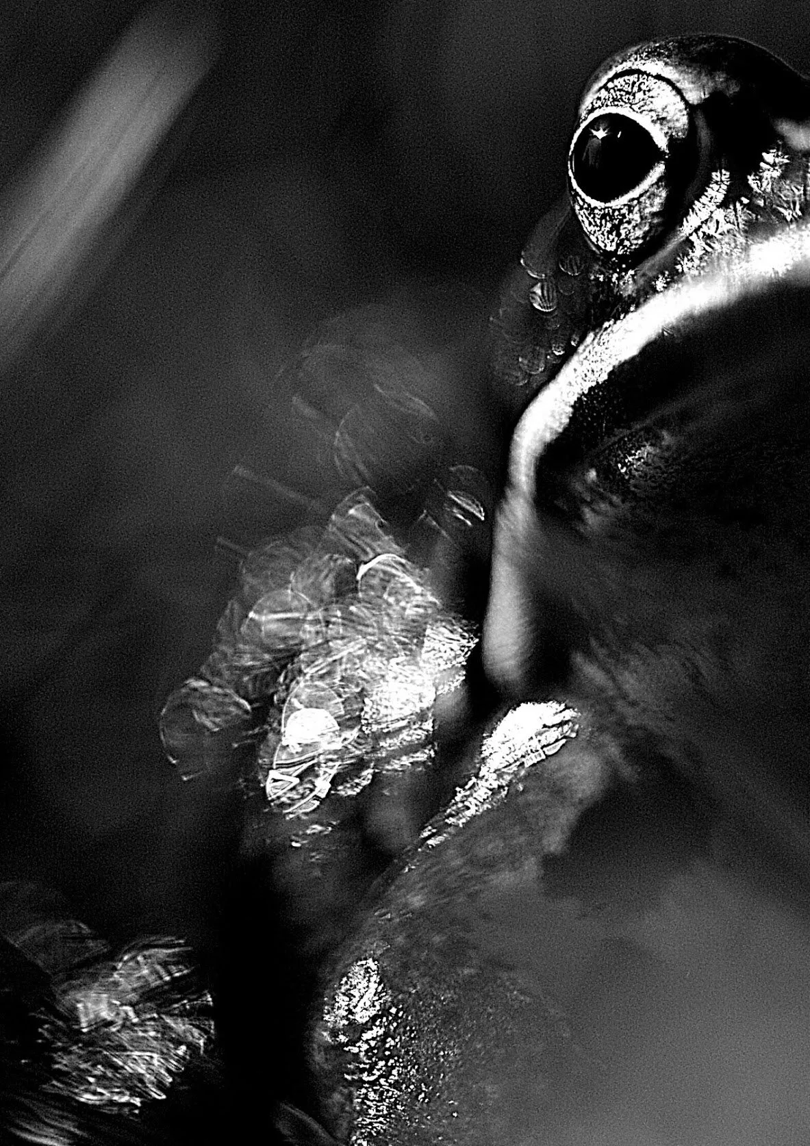 _DSC5934.jpg