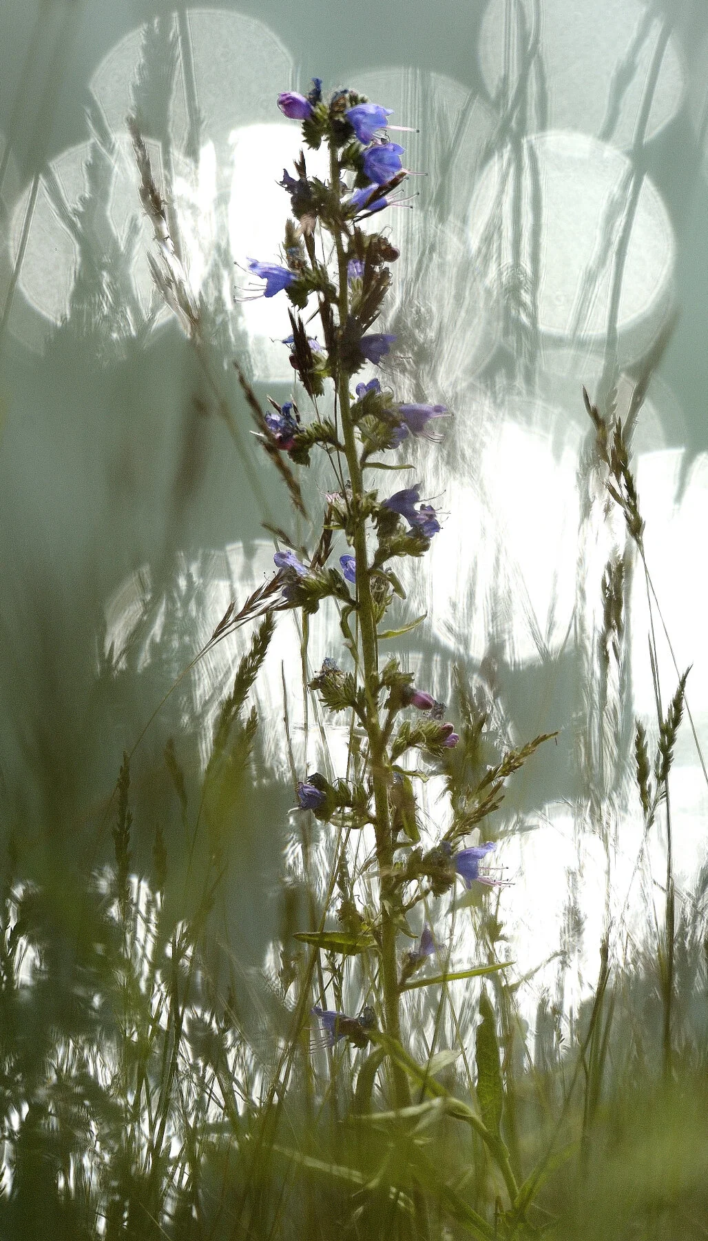 _DSC9637.jpg