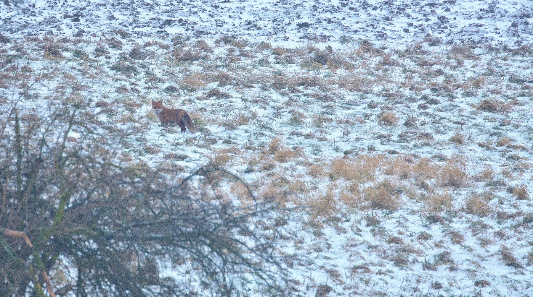 DSC_1852.jpg
